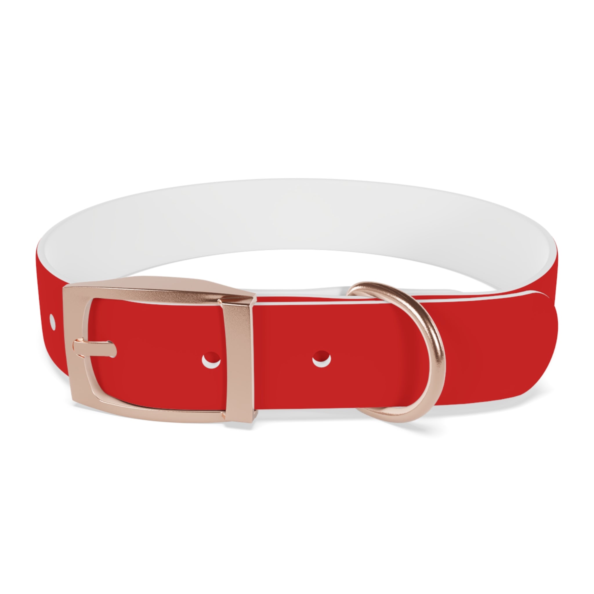 Waterproof Dog Collar | Red