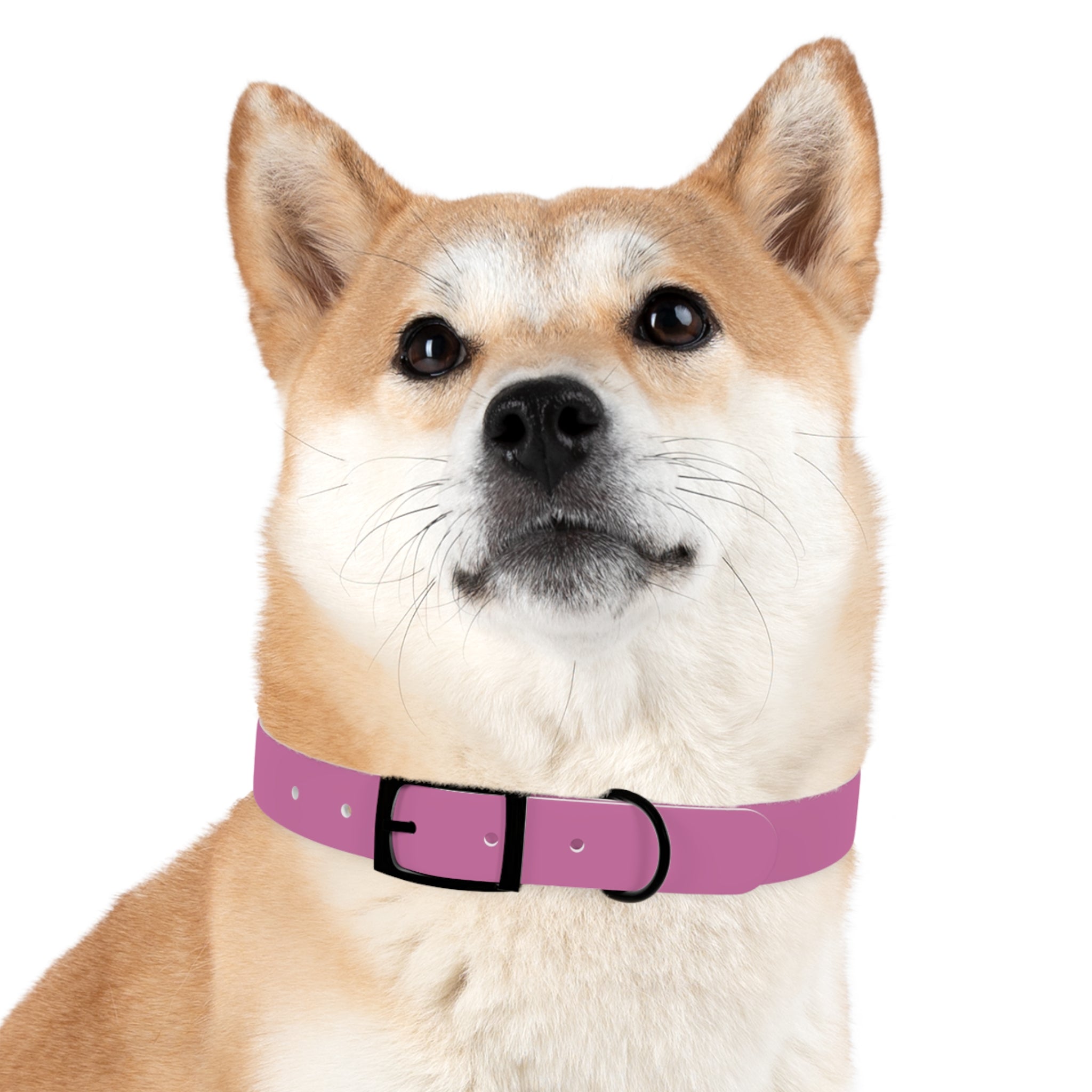Waterproof Dog Collar | Pink