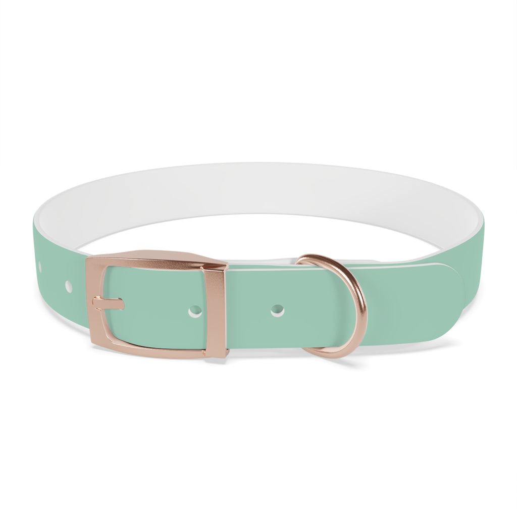 Waterproof Dog Collar | Mint