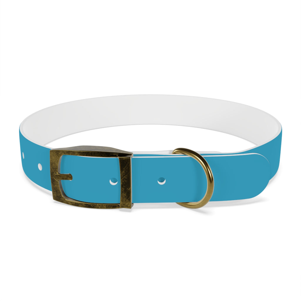 Waterproof Dog Collar | Turquoise