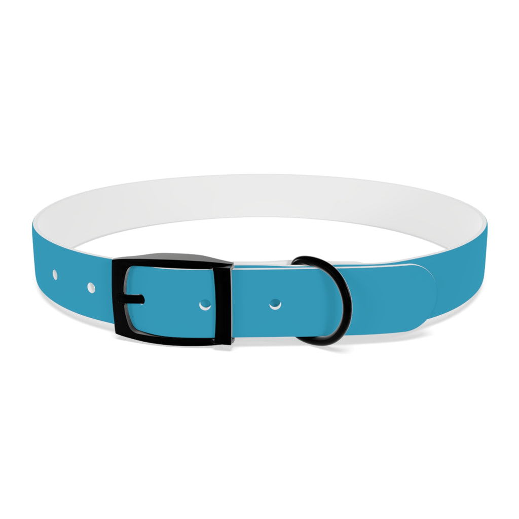 Waterproof Dog Collar | Turquoise