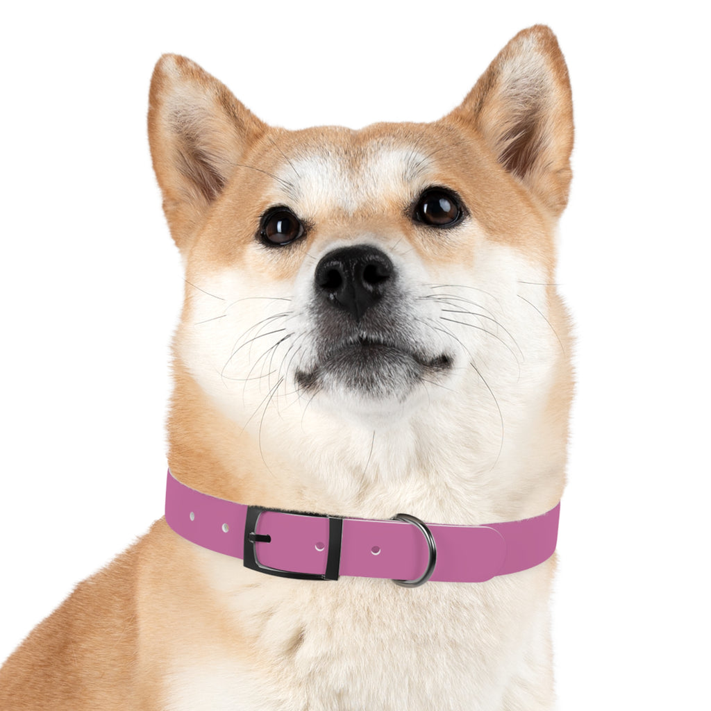 Waterproof Dog Collar | Pink