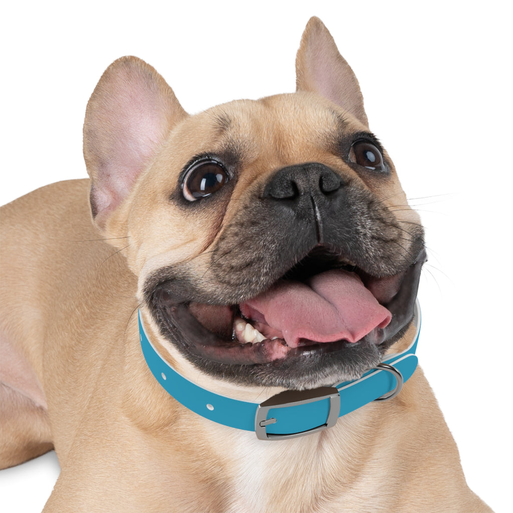 Waterproof Dog Collar | Turquoise