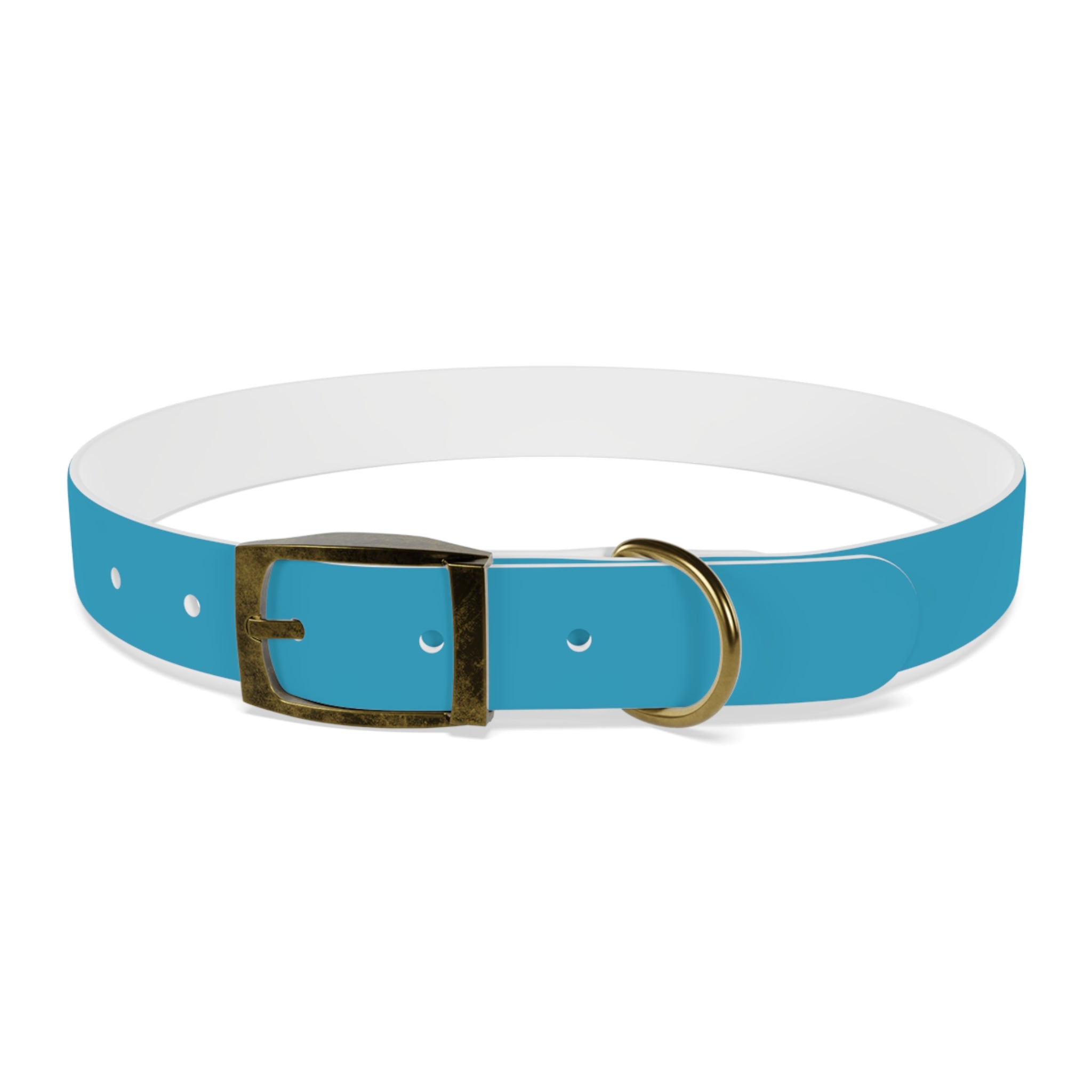 Waterproof Dog Collar | Turquoise