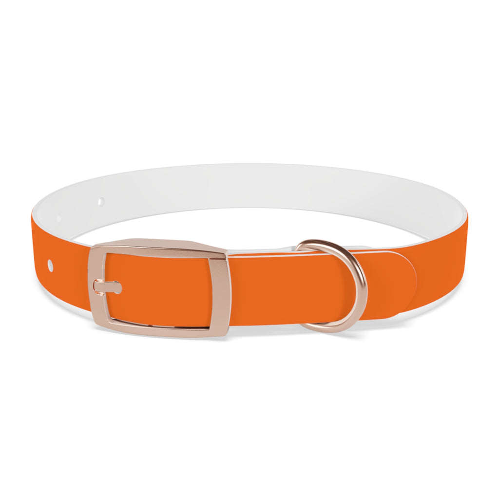 Waterproof Dog Collar | Orange