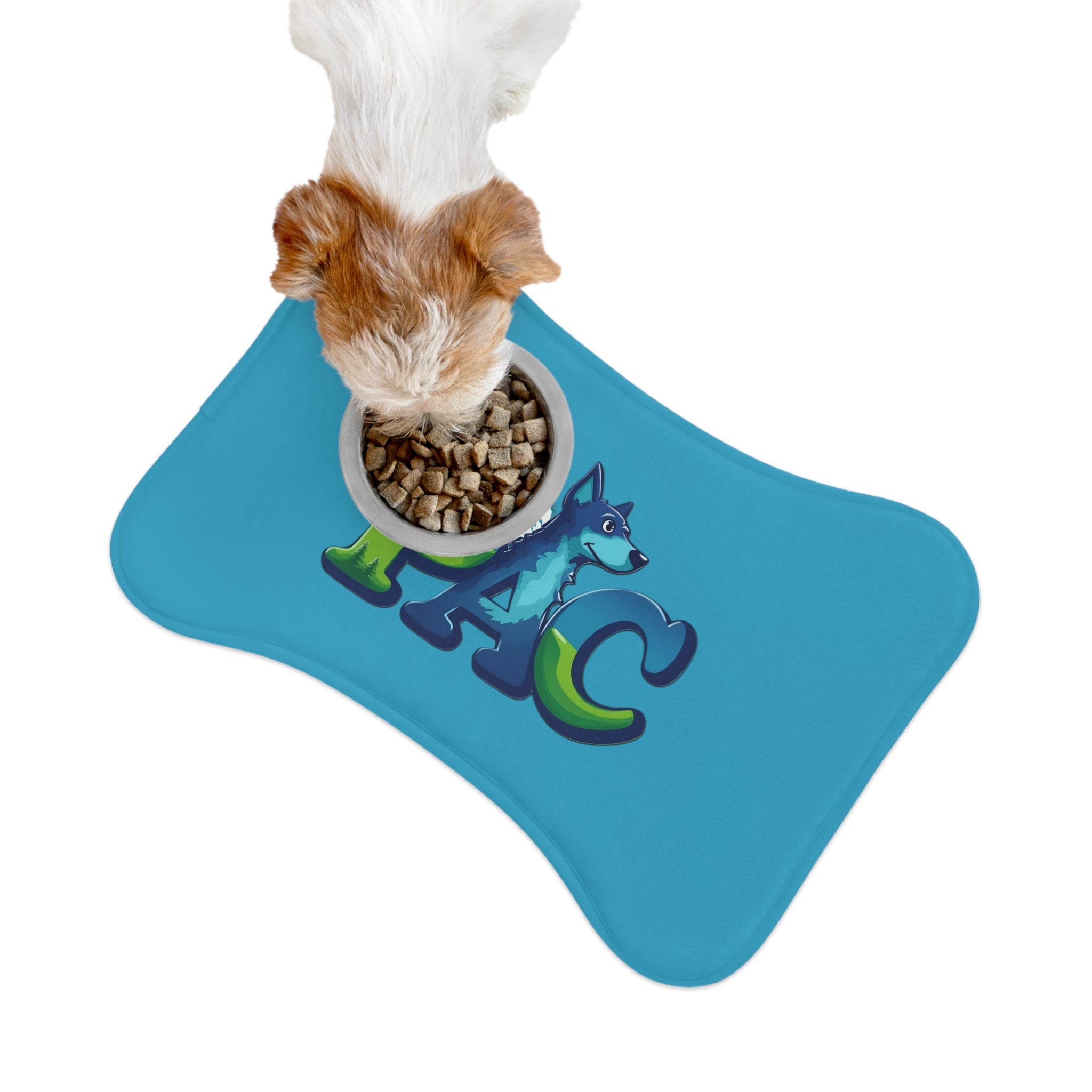 PAC | Pet Feeding Mats | Turquoise
