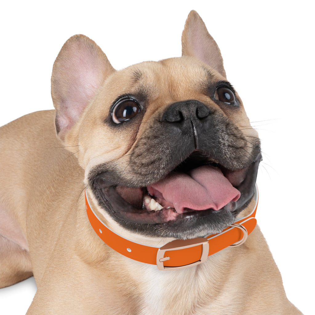 Adjustable Dog Collar | Paw Print | Orange