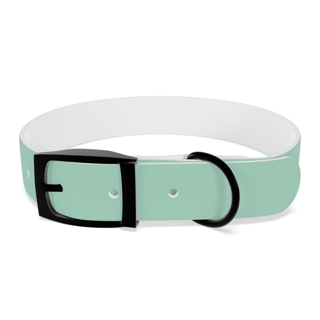 Waterproof Dog Collar | Mint