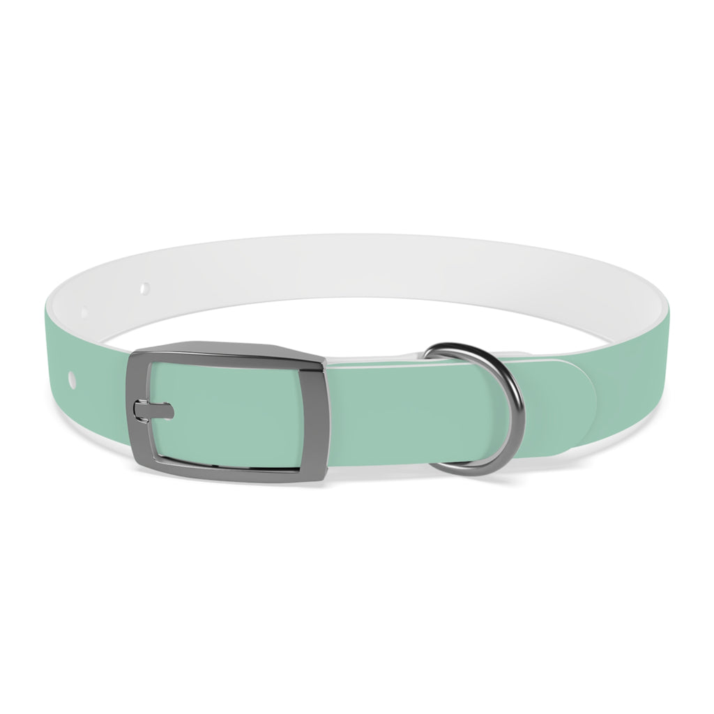 Waterproof Dog Collar | Mint
