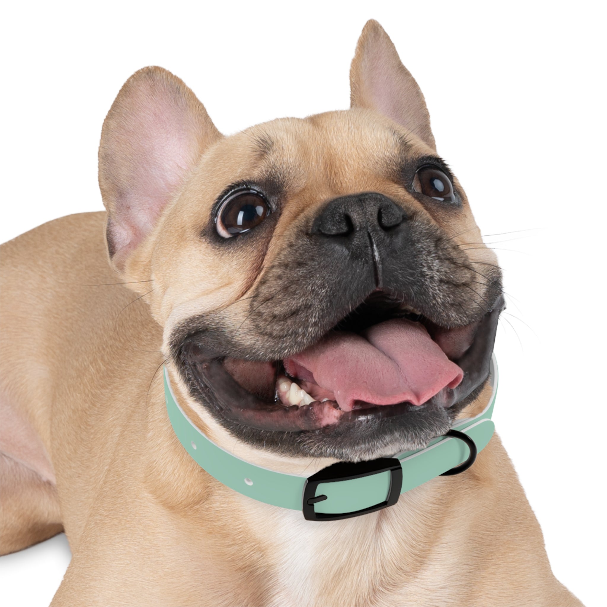 Waterproof Dog Collar | Mint