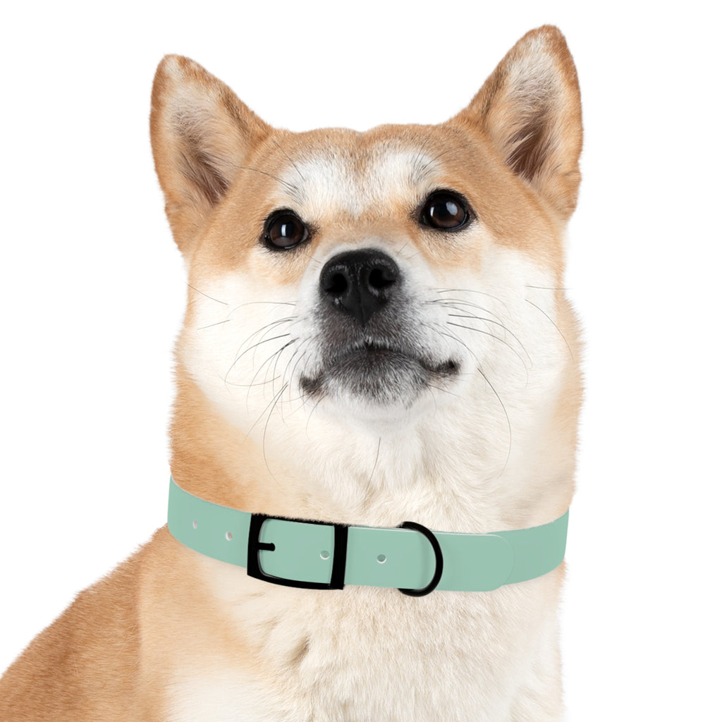 Waterproof Dog Collar | Mint