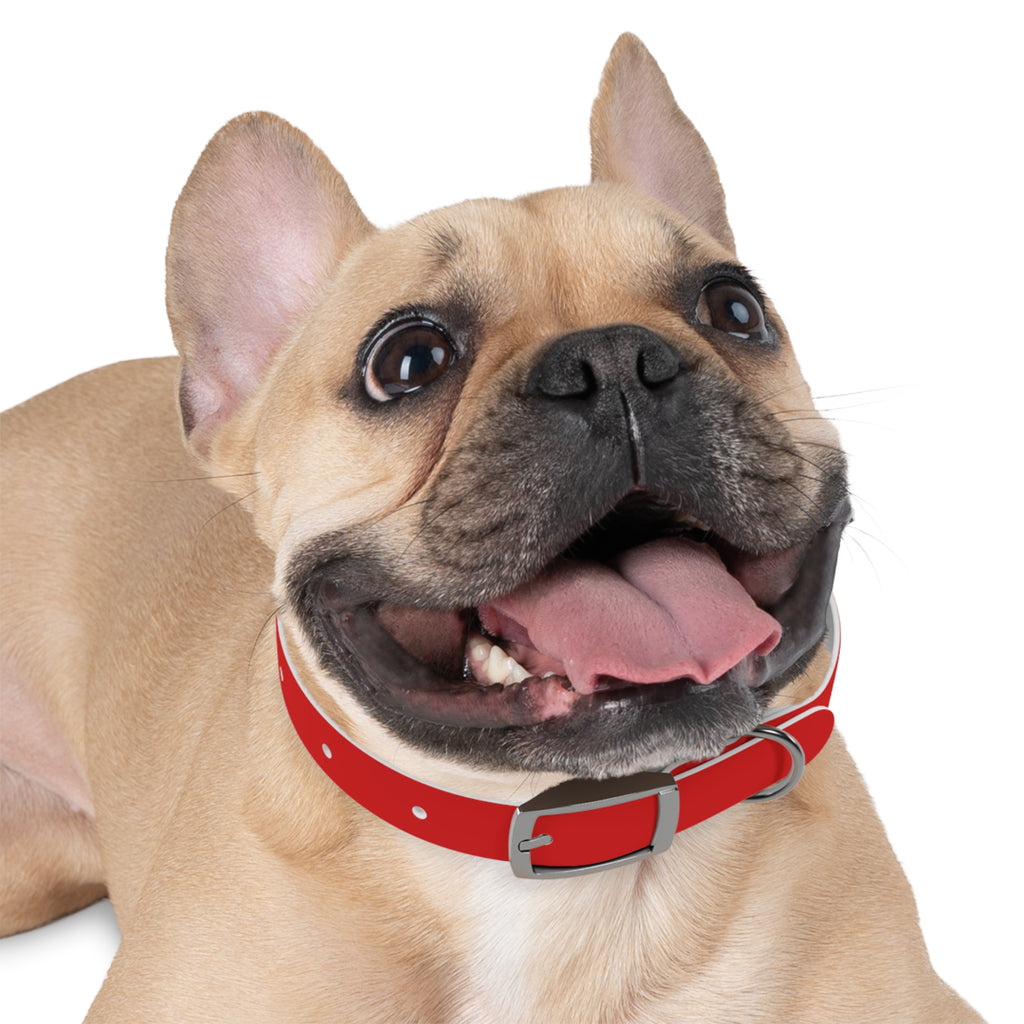 Waterproof Dog Collar | Red