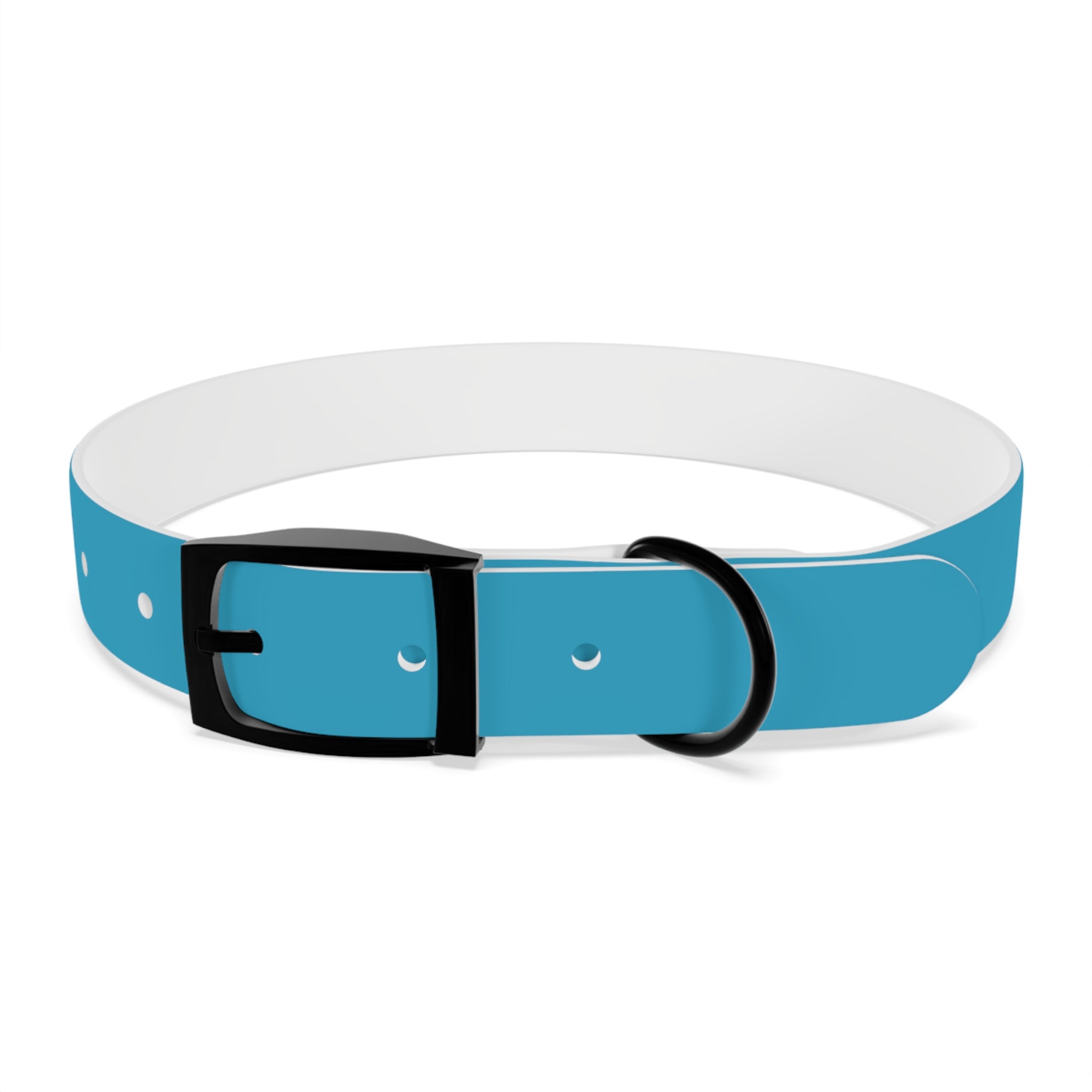 Waterproof Dog Collar | Turquoise