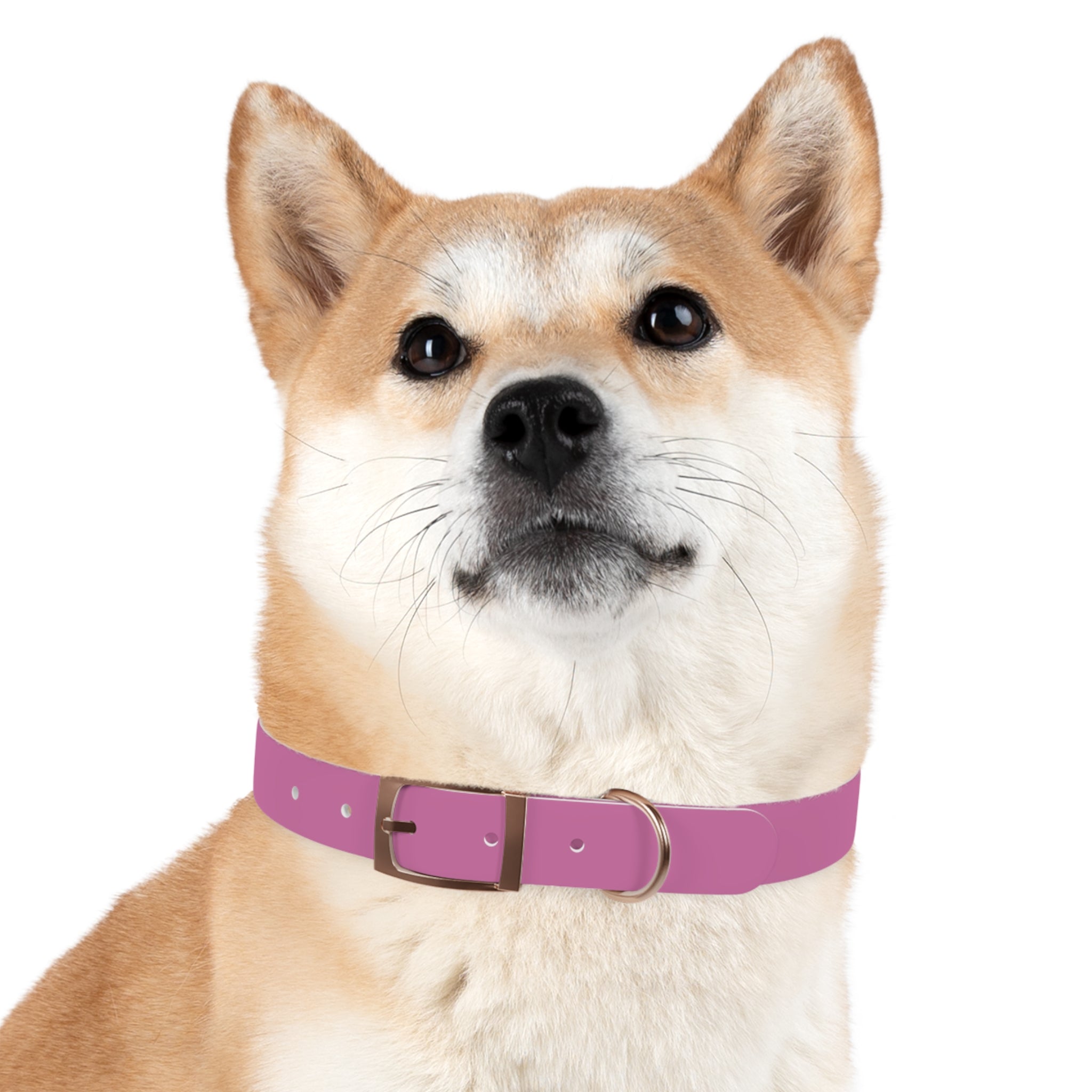 Waterproof Dog Collar | Pink