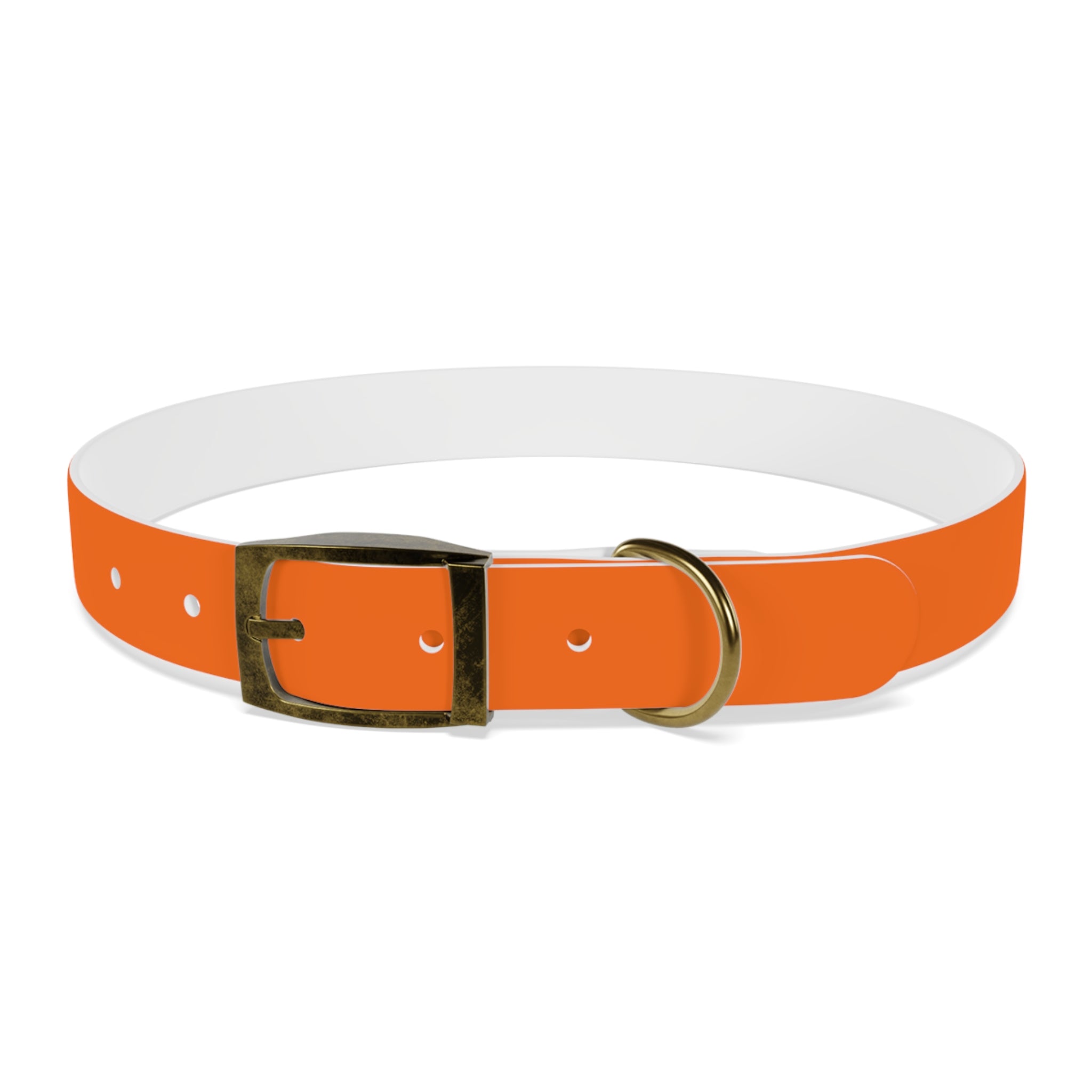 Adjustable Dog Collar | Paw Print | Orange