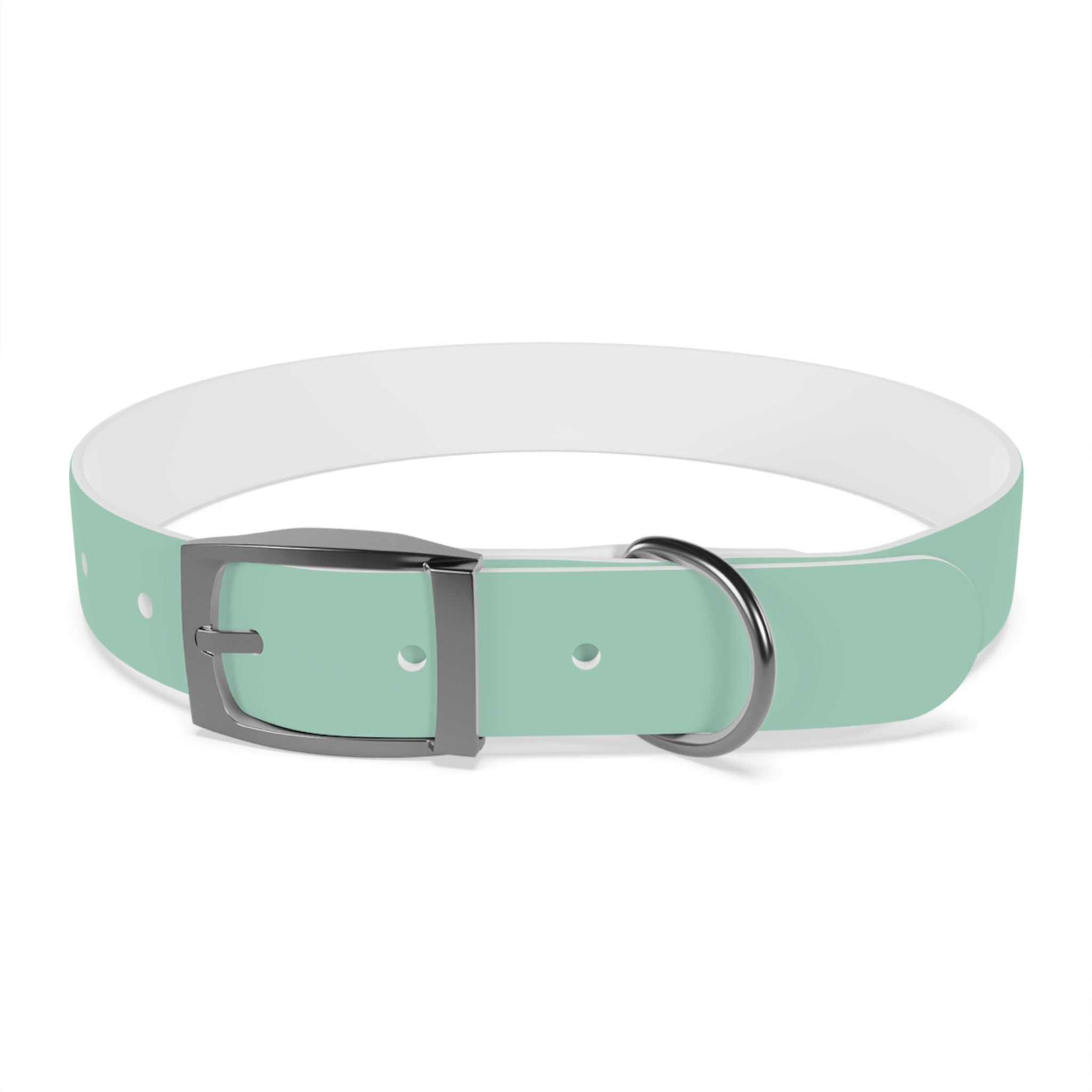 Waterproof Dog Collar | Mint