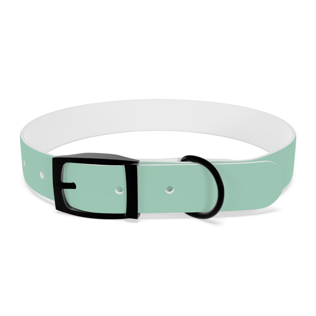 Waterproof Dog Collar | Mint
