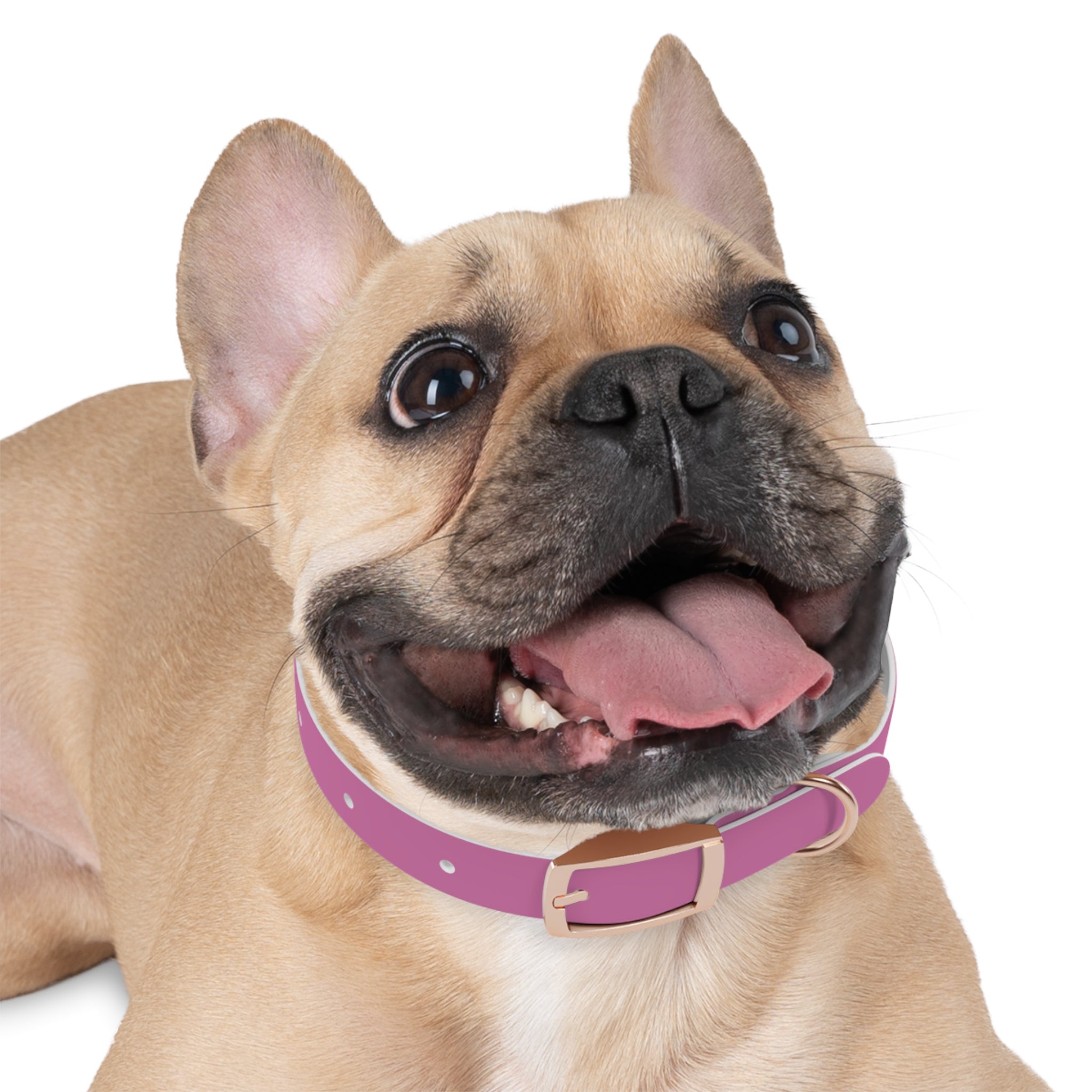 Waterproof Dog Collar | Pink