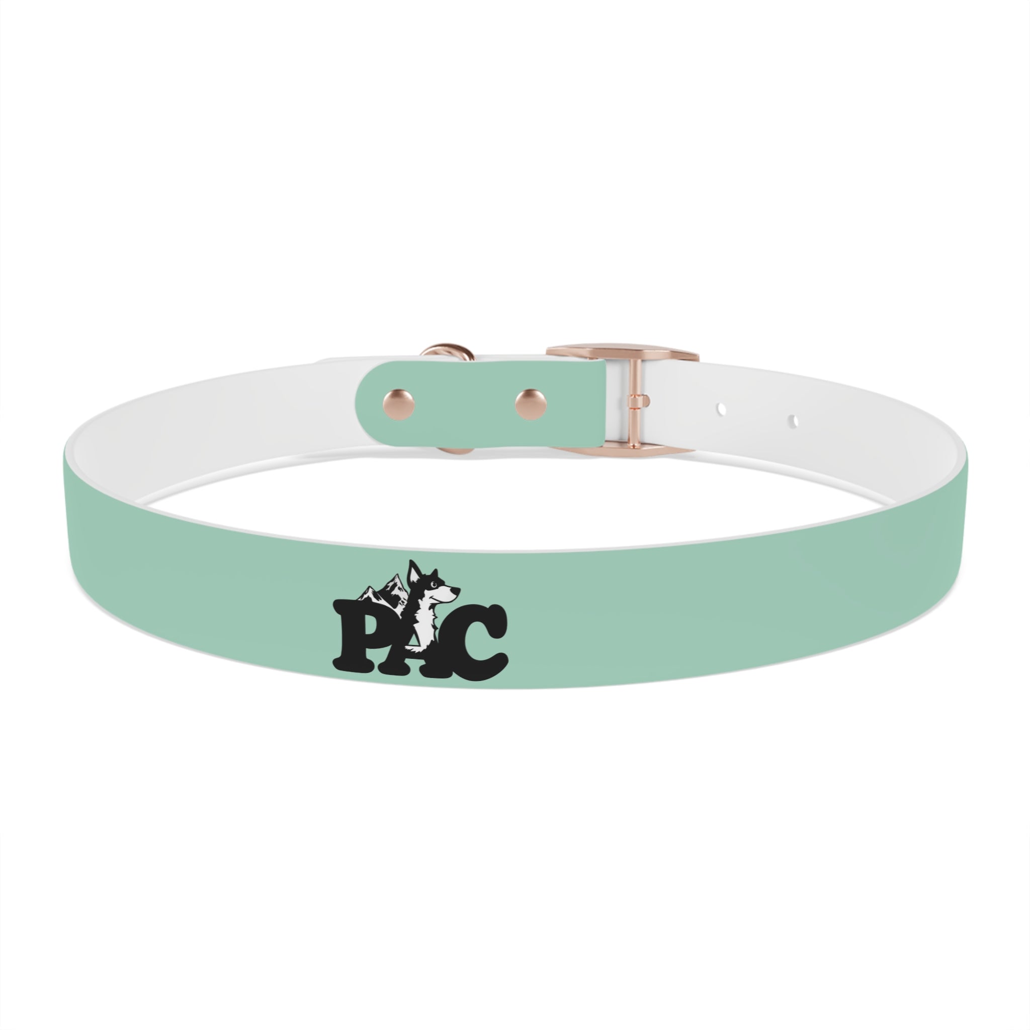 Waterproof Dog Collar | Mint