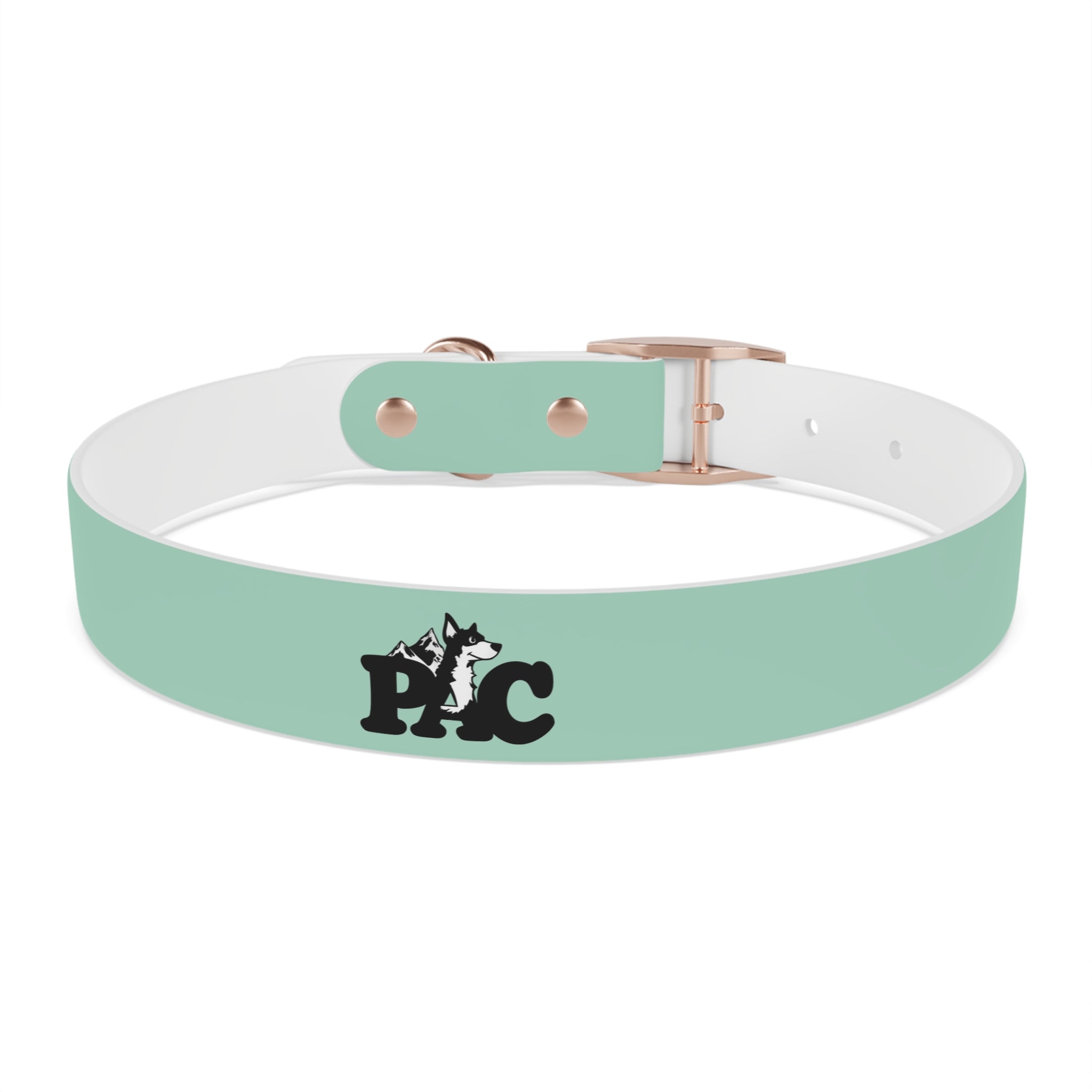 Waterproof Dog Collar | Mint