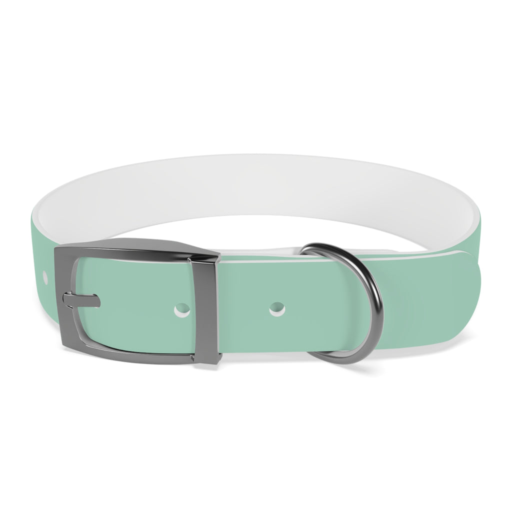 Waterproof Dog Collar | Mint