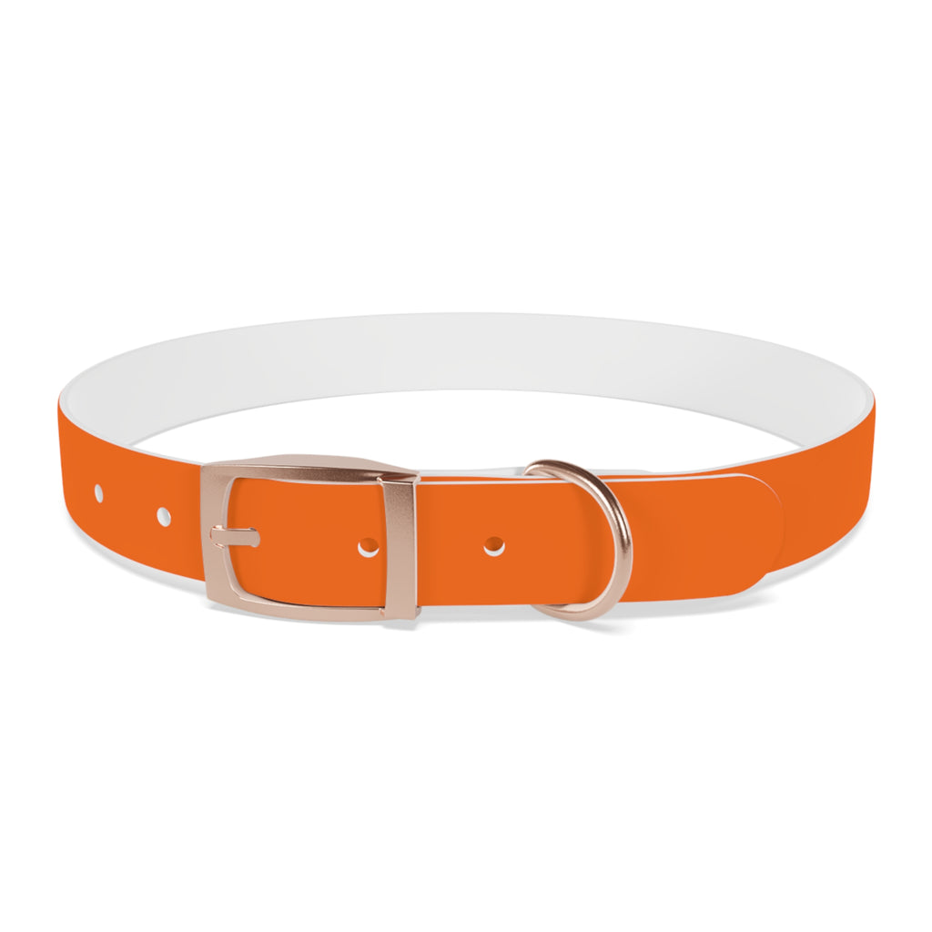 Adjustable Dog Collar | Paw Print | Orange