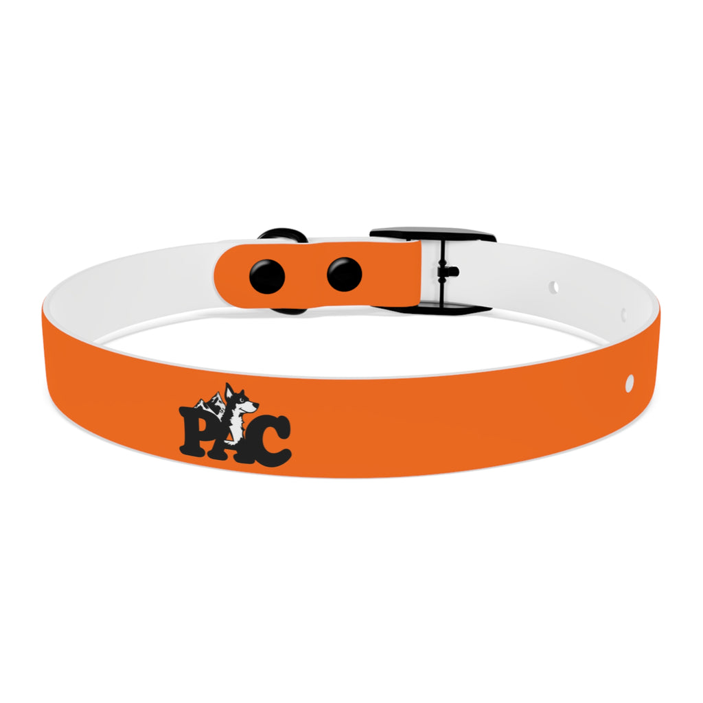 Waterproof Dog Collar | Orange