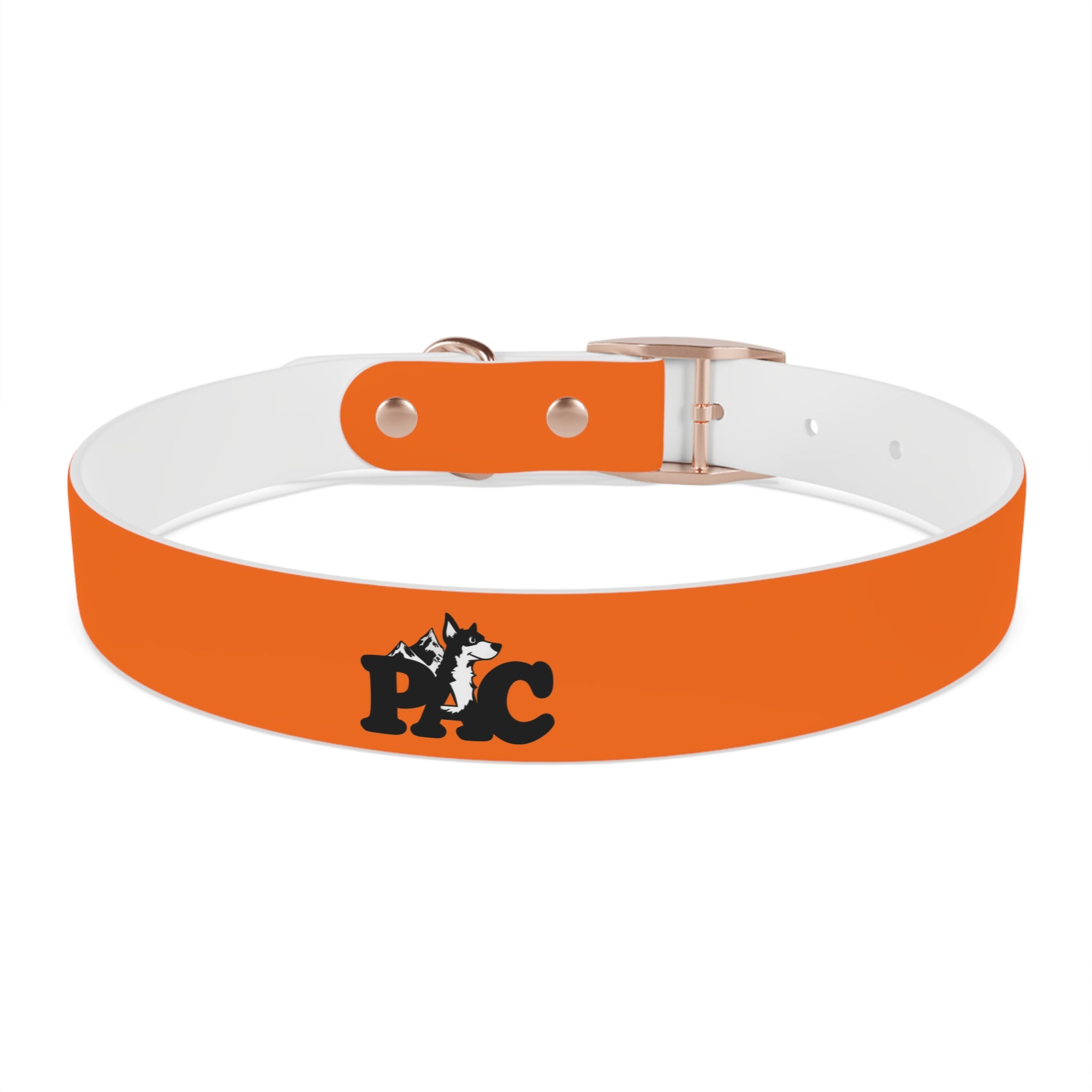 Waterproof Dog Collar | Orange