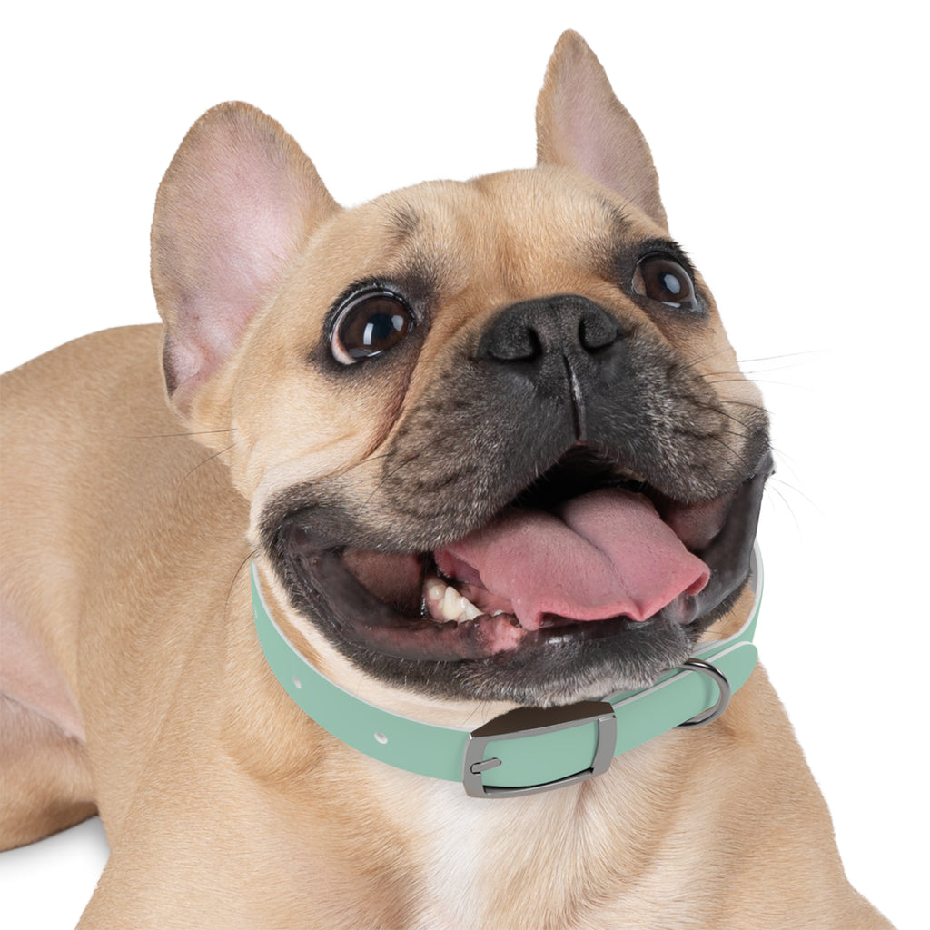 Waterproof Dog Collar | Mint