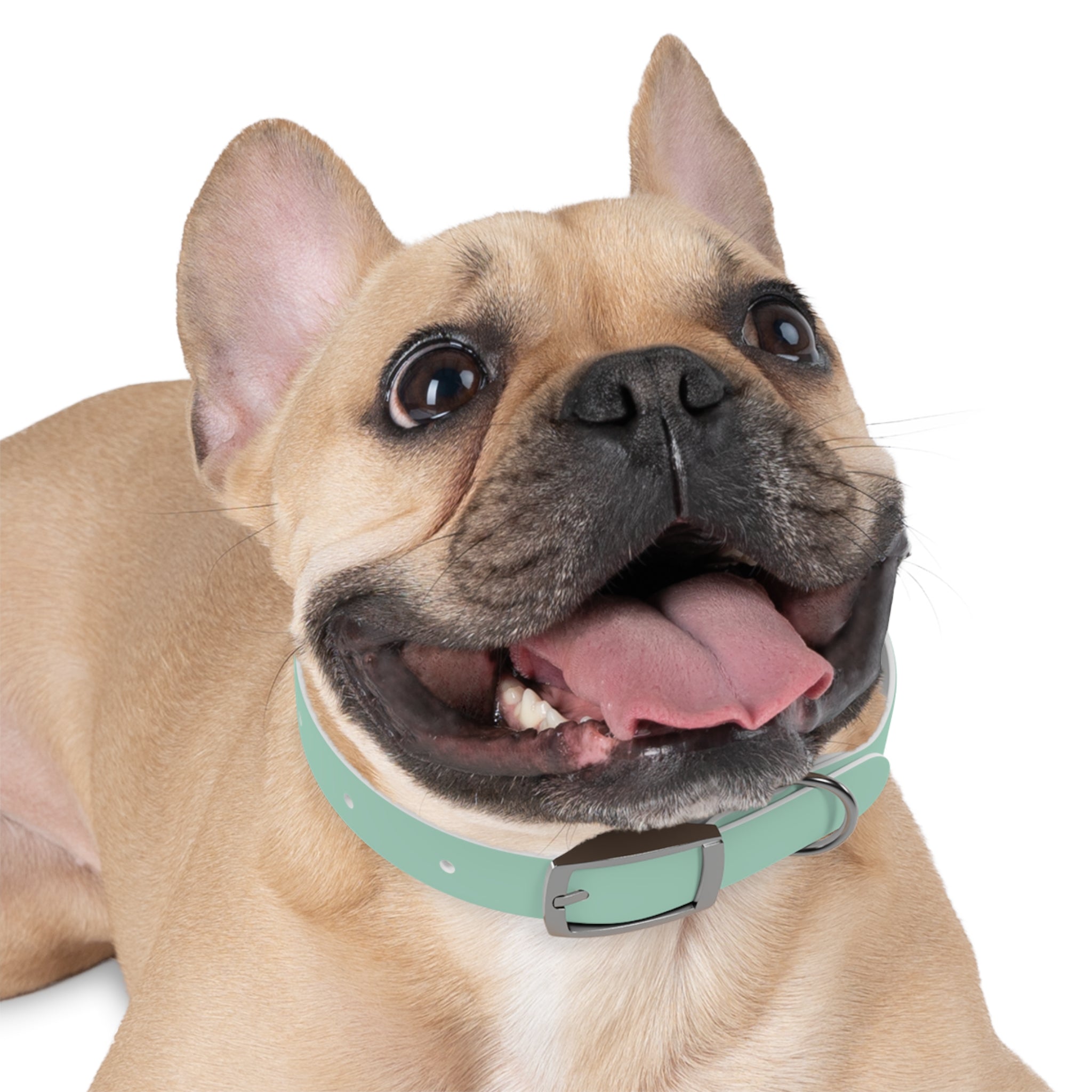Waterproof Dog Collar | Mint