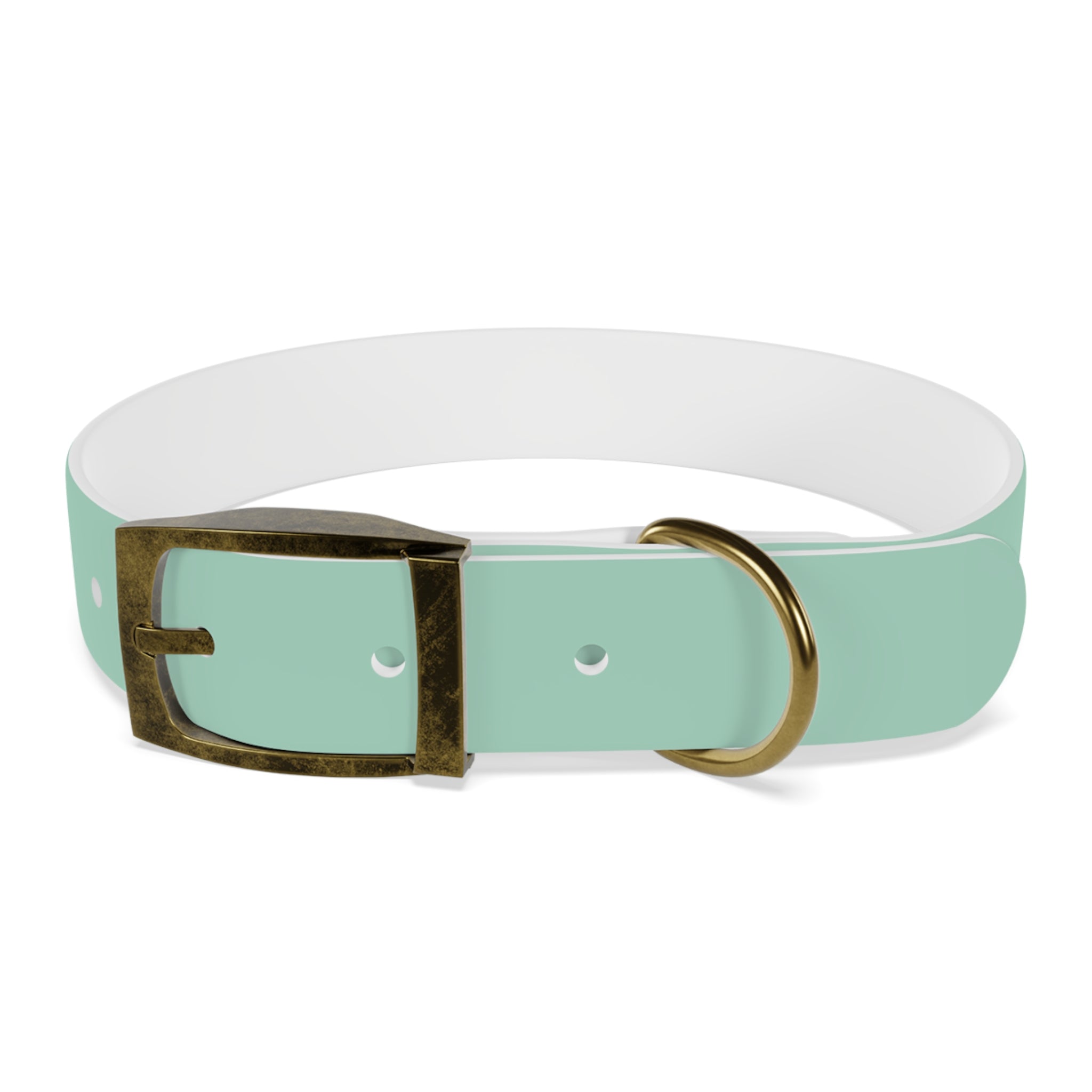 Waterproof Dog Collar | Mint