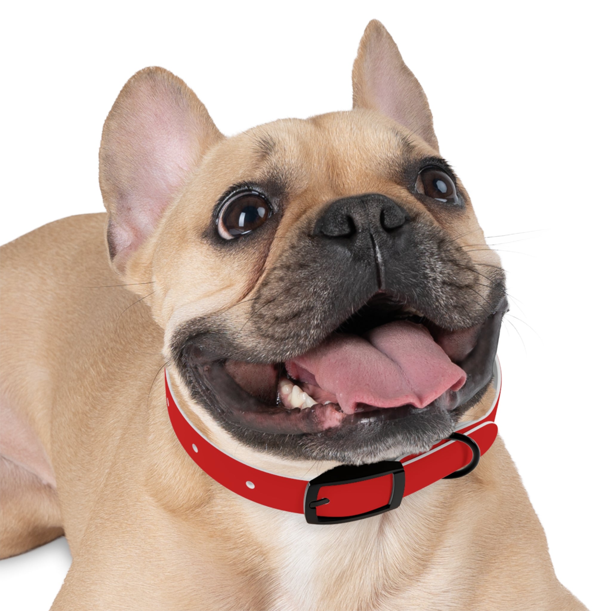 Waterproof Dog Collar | Red