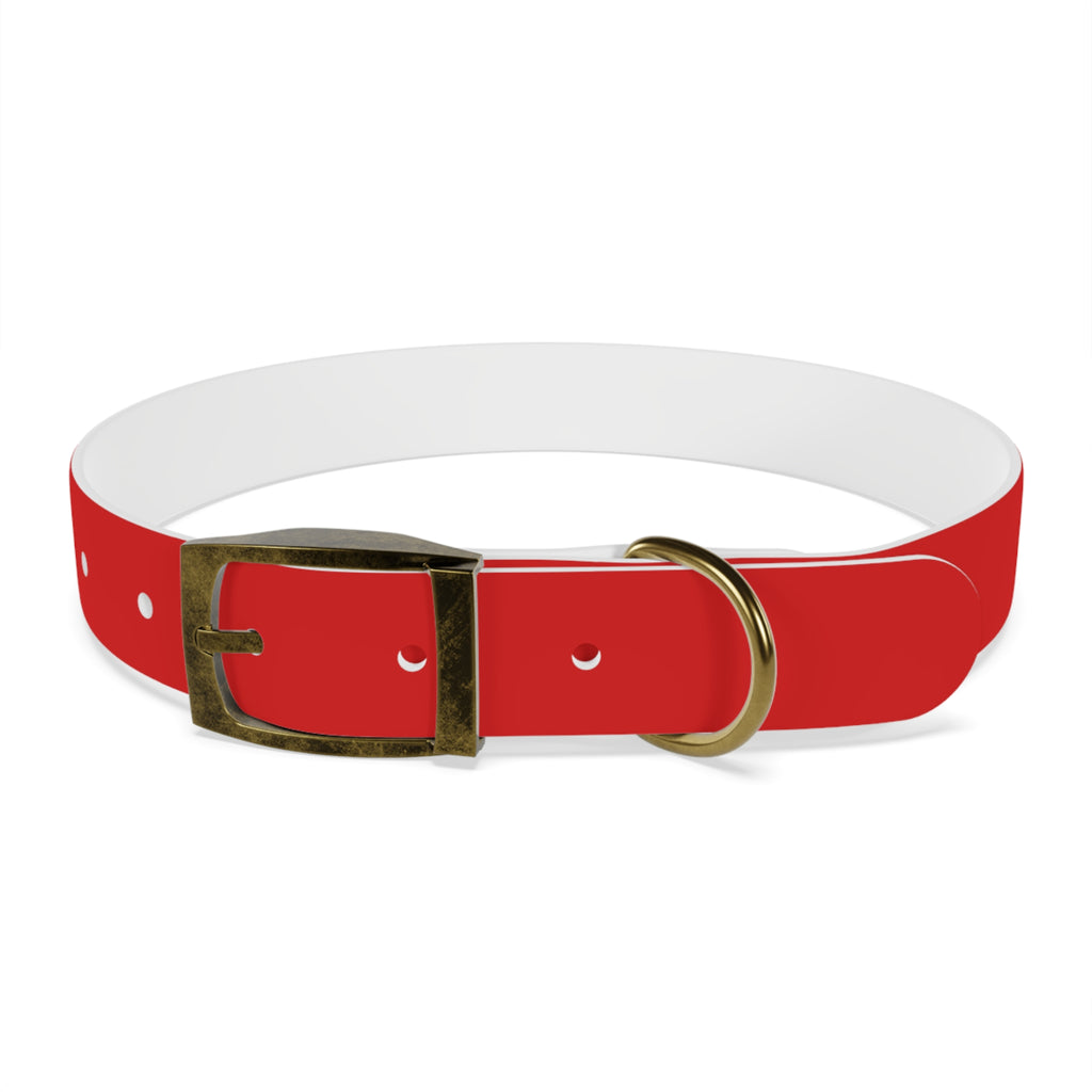 Waterproof Dog Collar | Red