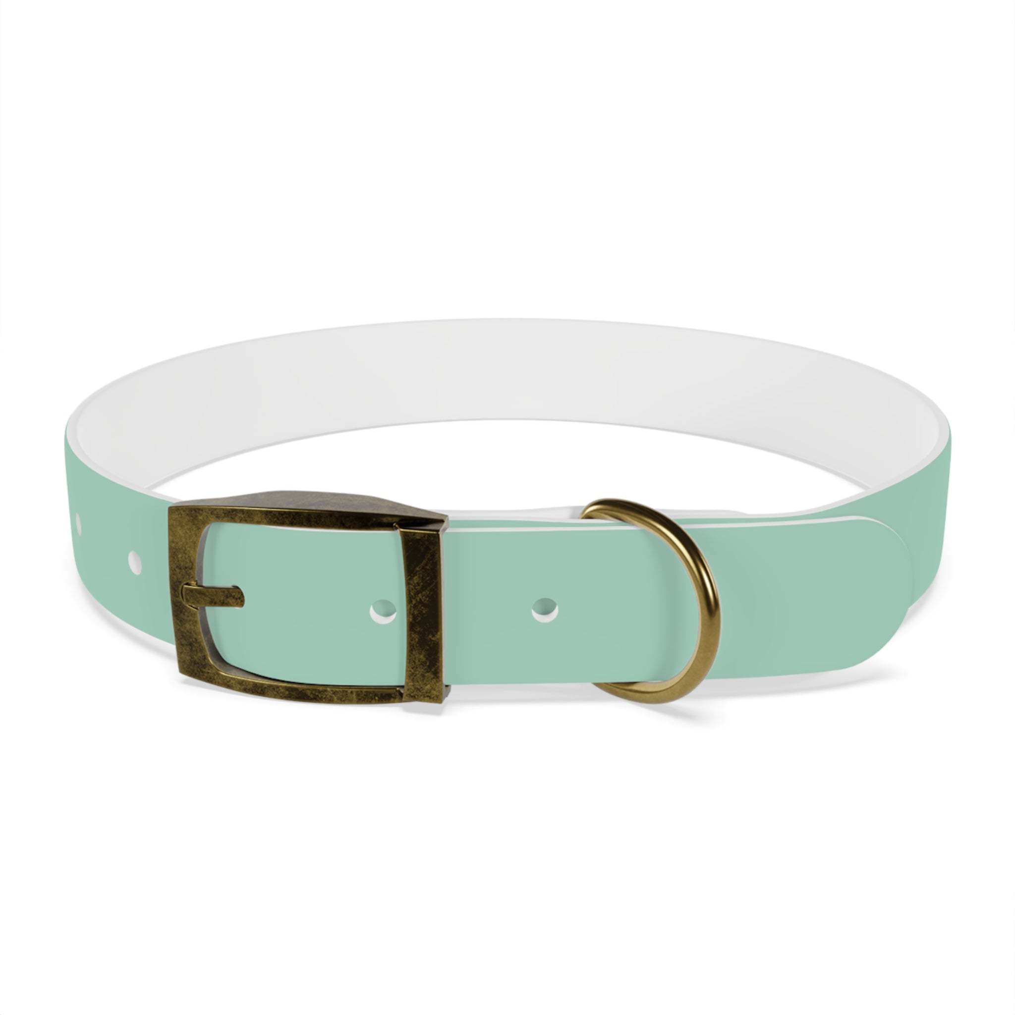 Waterproof Dog Collar | Mint
