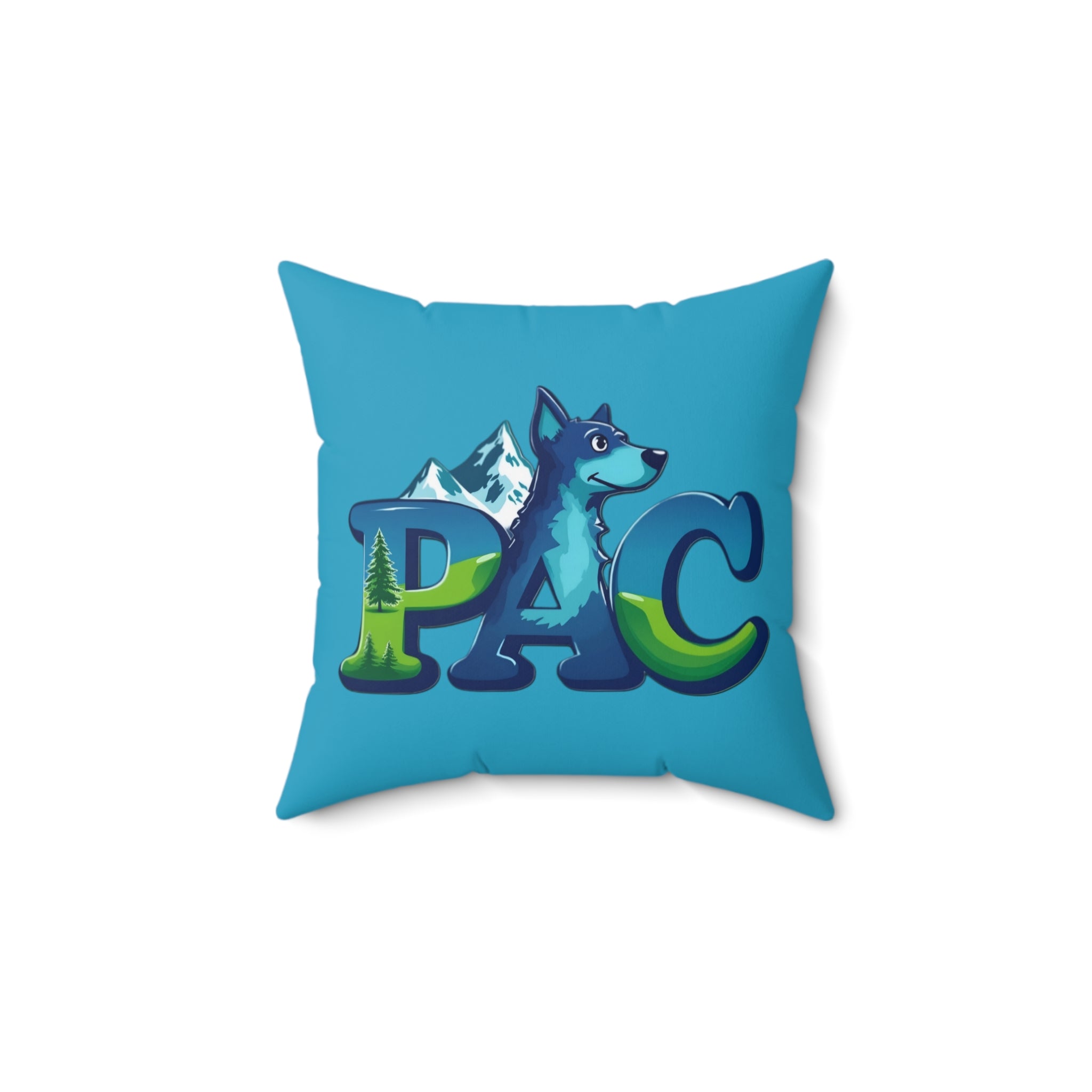 PAC Pillow | Square Polyester Throw Pillow | Turquoise