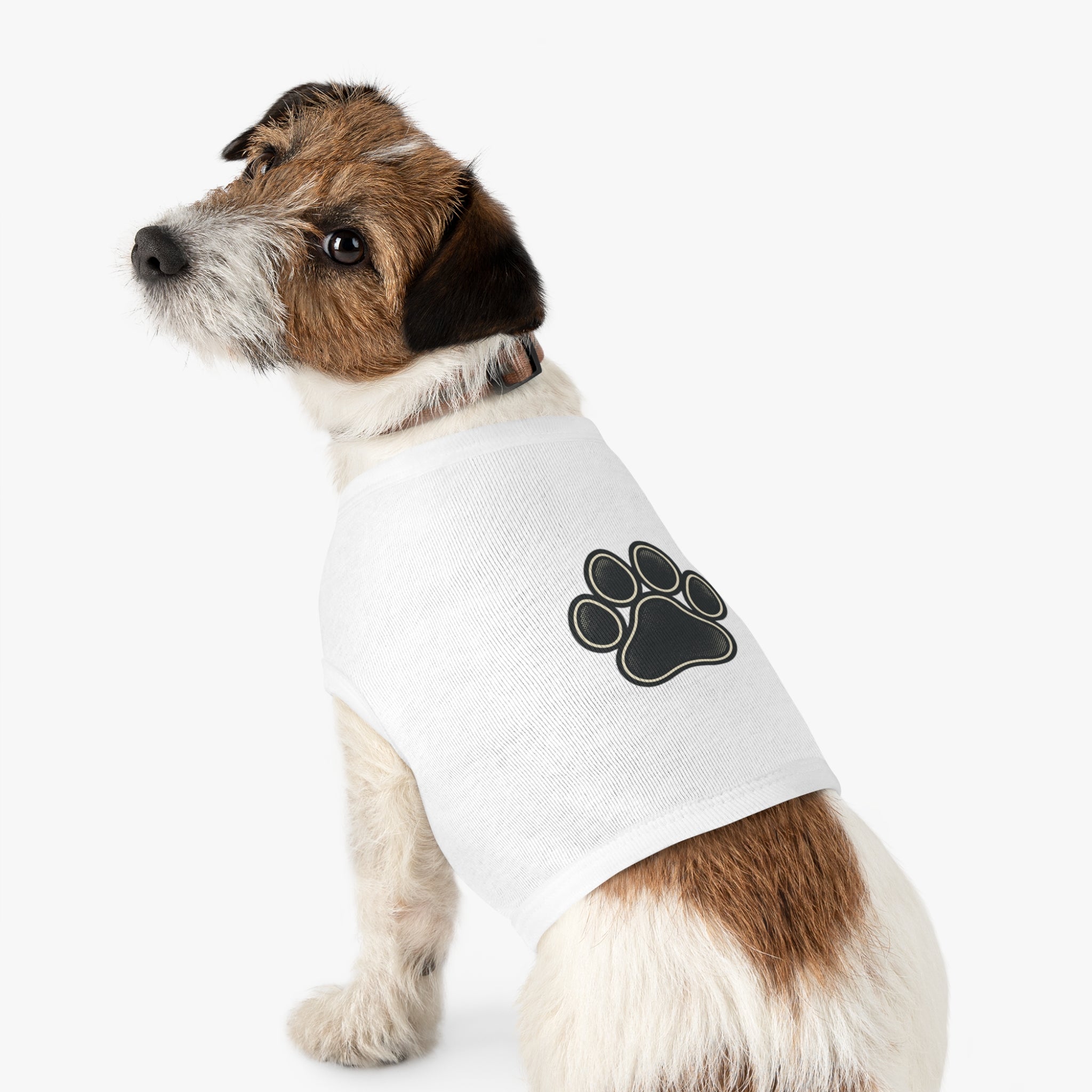 Dog Sweater | Paw Print | Multi Colors