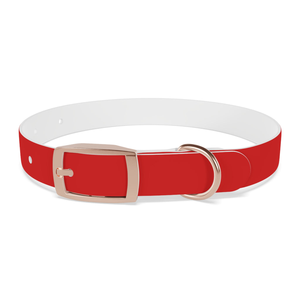 Waterproof Dog Collar | Red