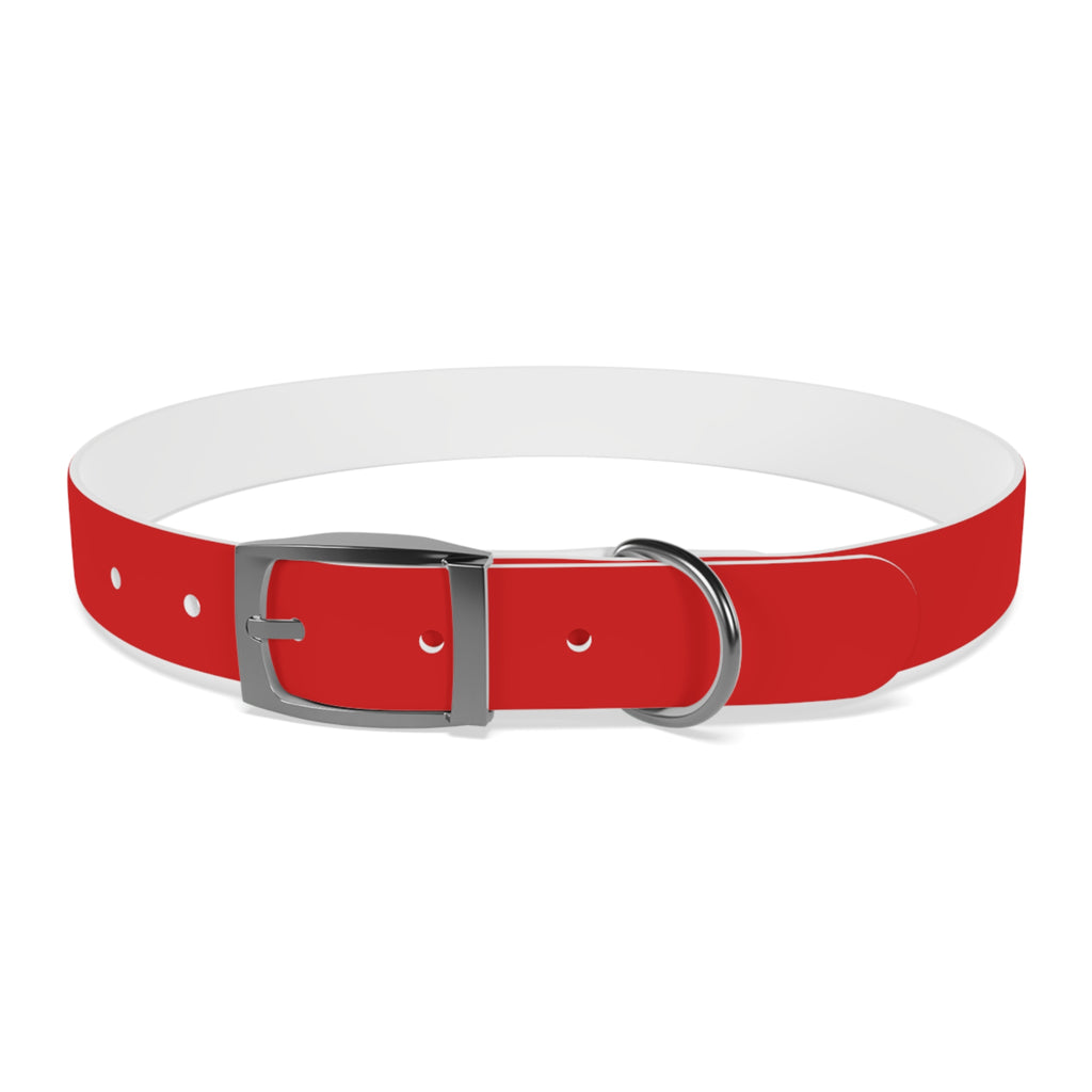 Waterproof Dog Collar | Red