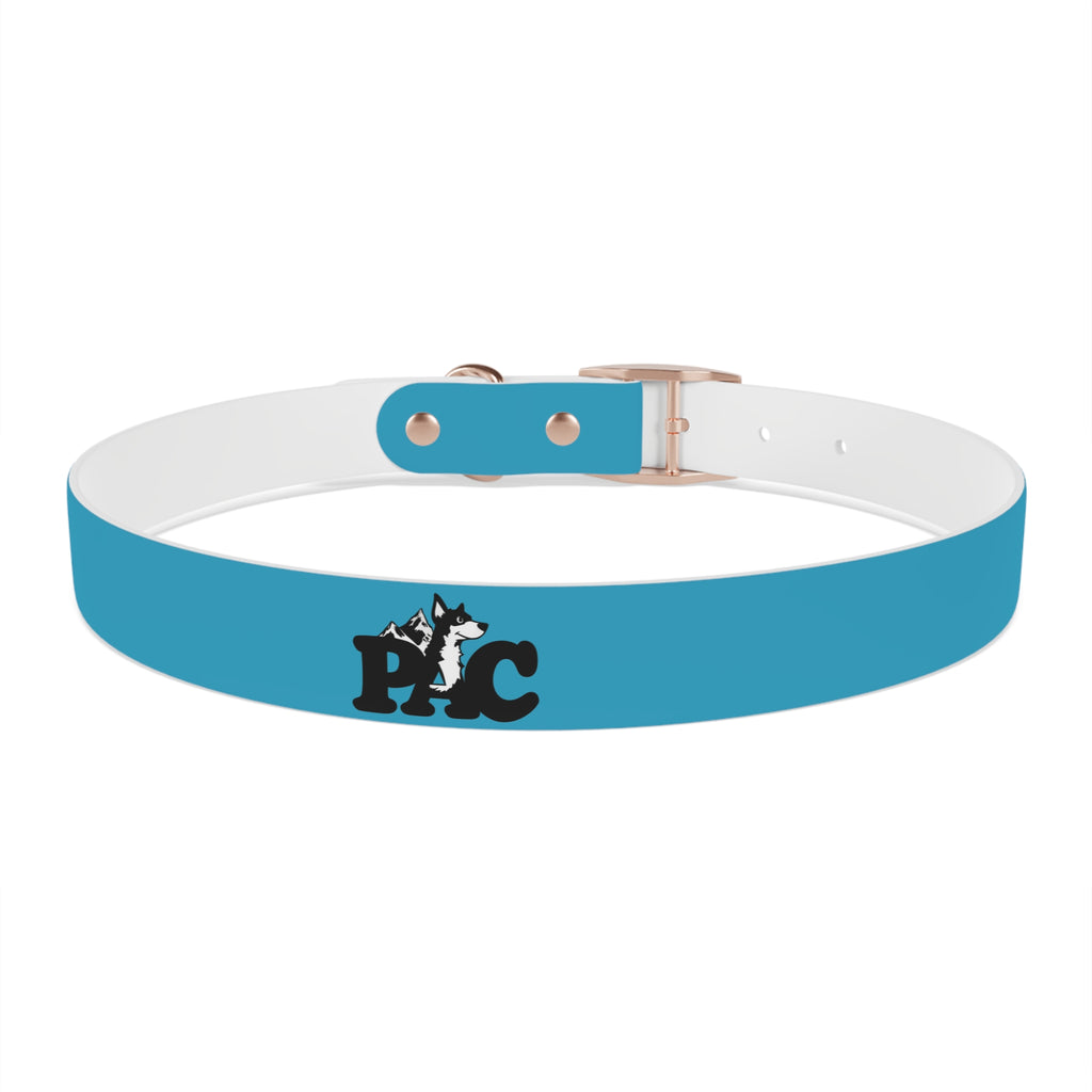 Waterproof Dog Collar | Turquoise