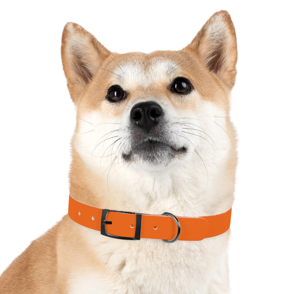 Adjustable Dog Collar | Paw Print | Orange