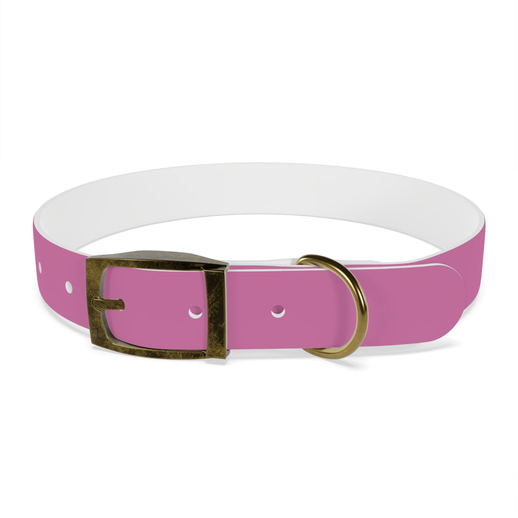 Waterproof Dog Collar | Pink