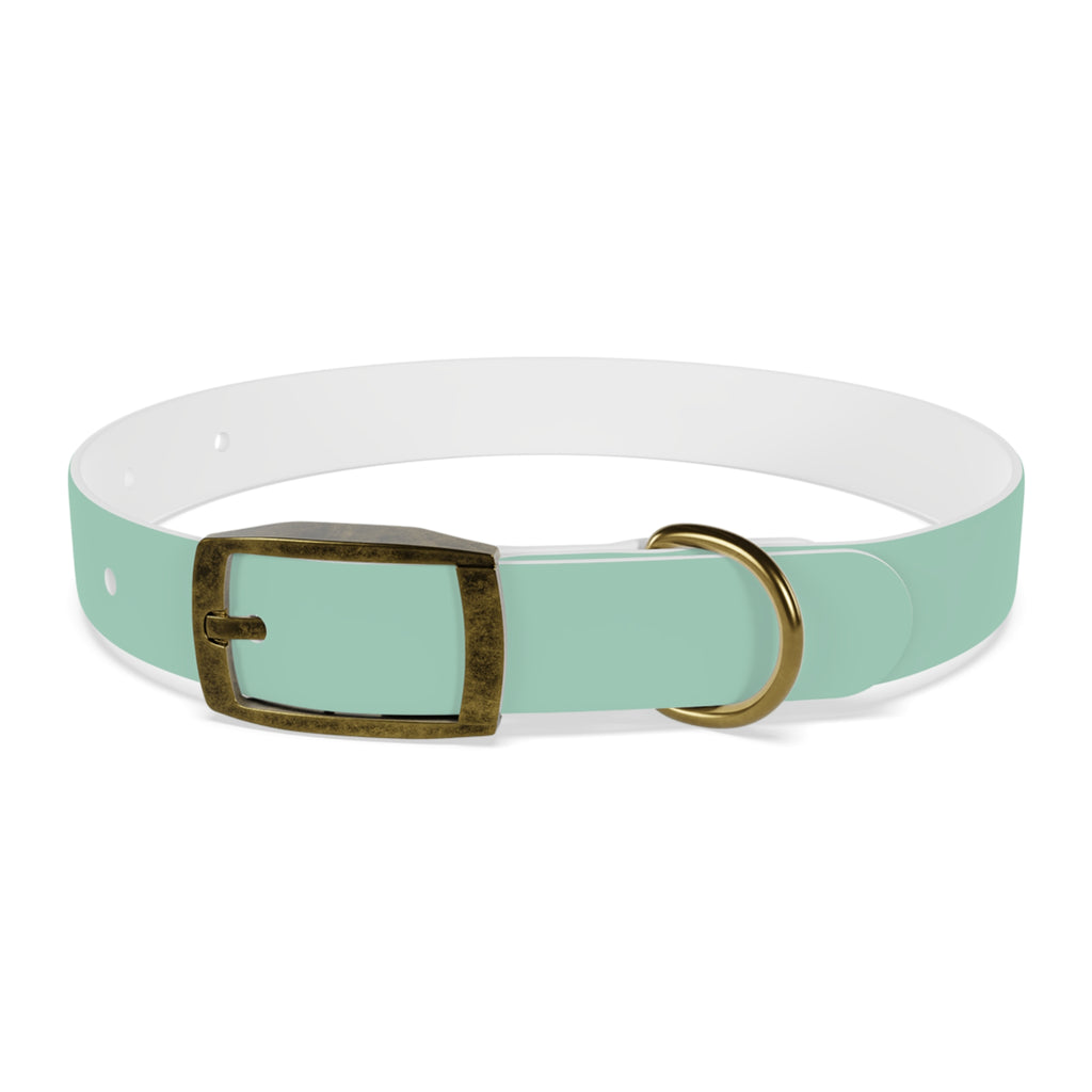 Waterproof Dog Collar | Mint