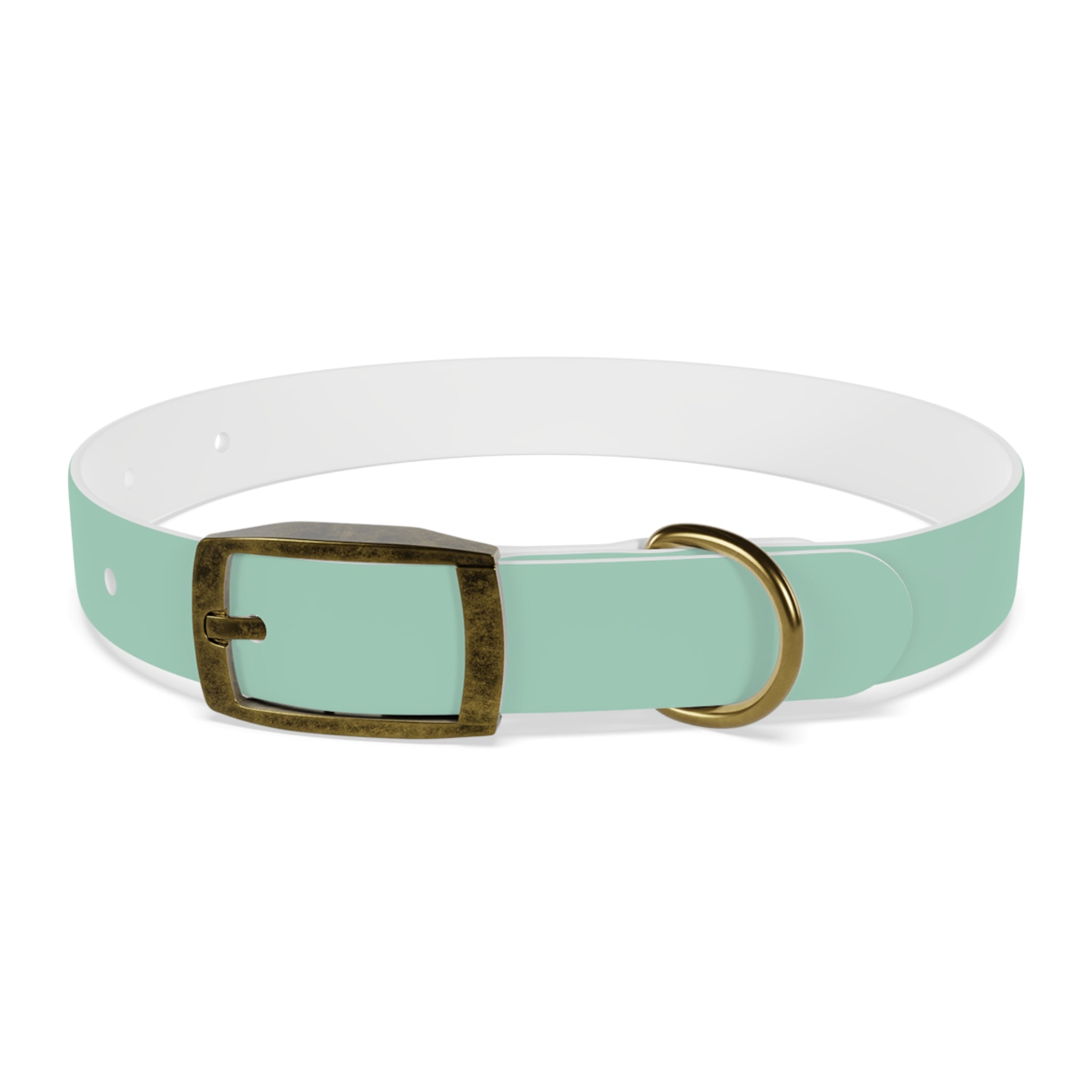 Waterproof Dog Collar | Mint