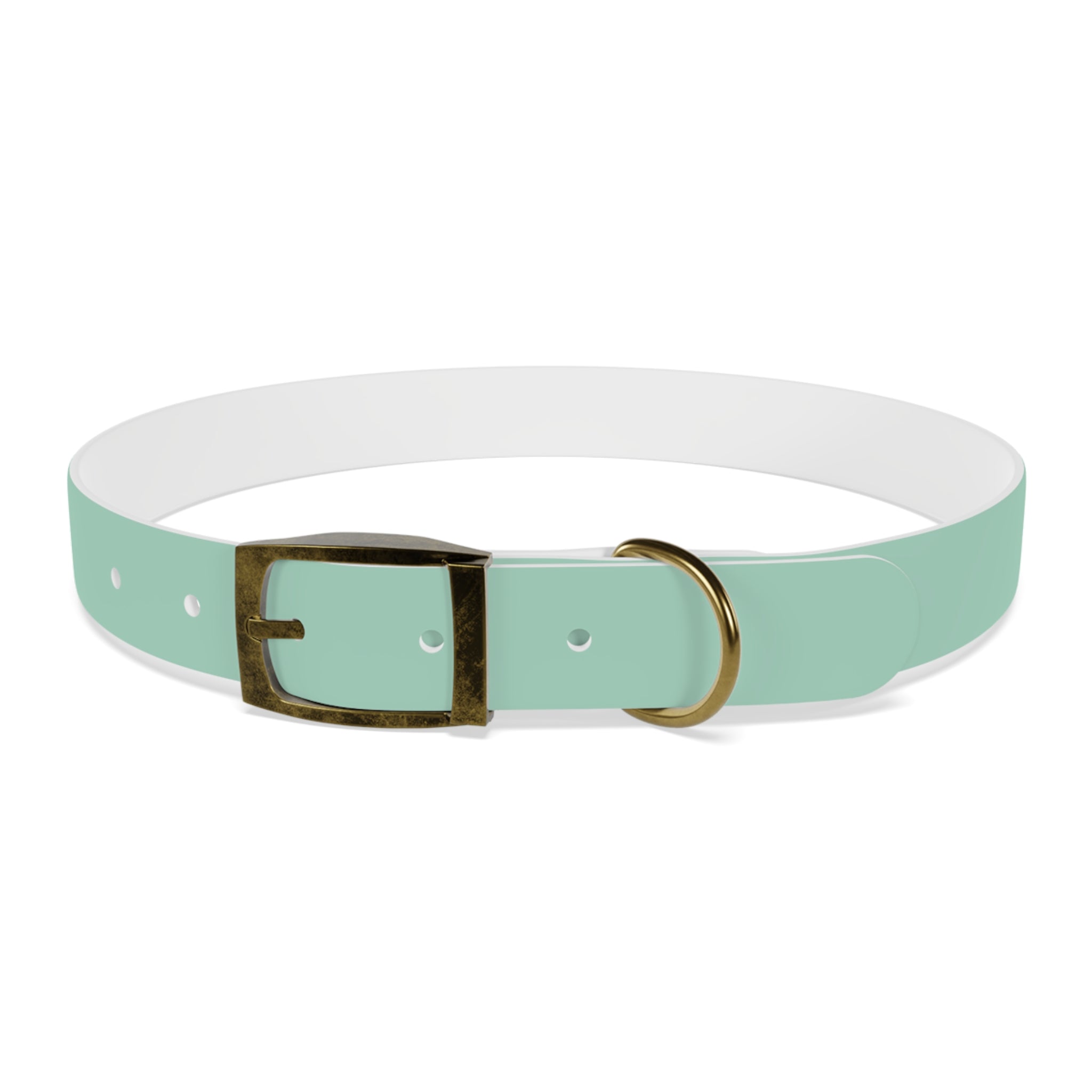 Waterproof Dog Collar | Mint