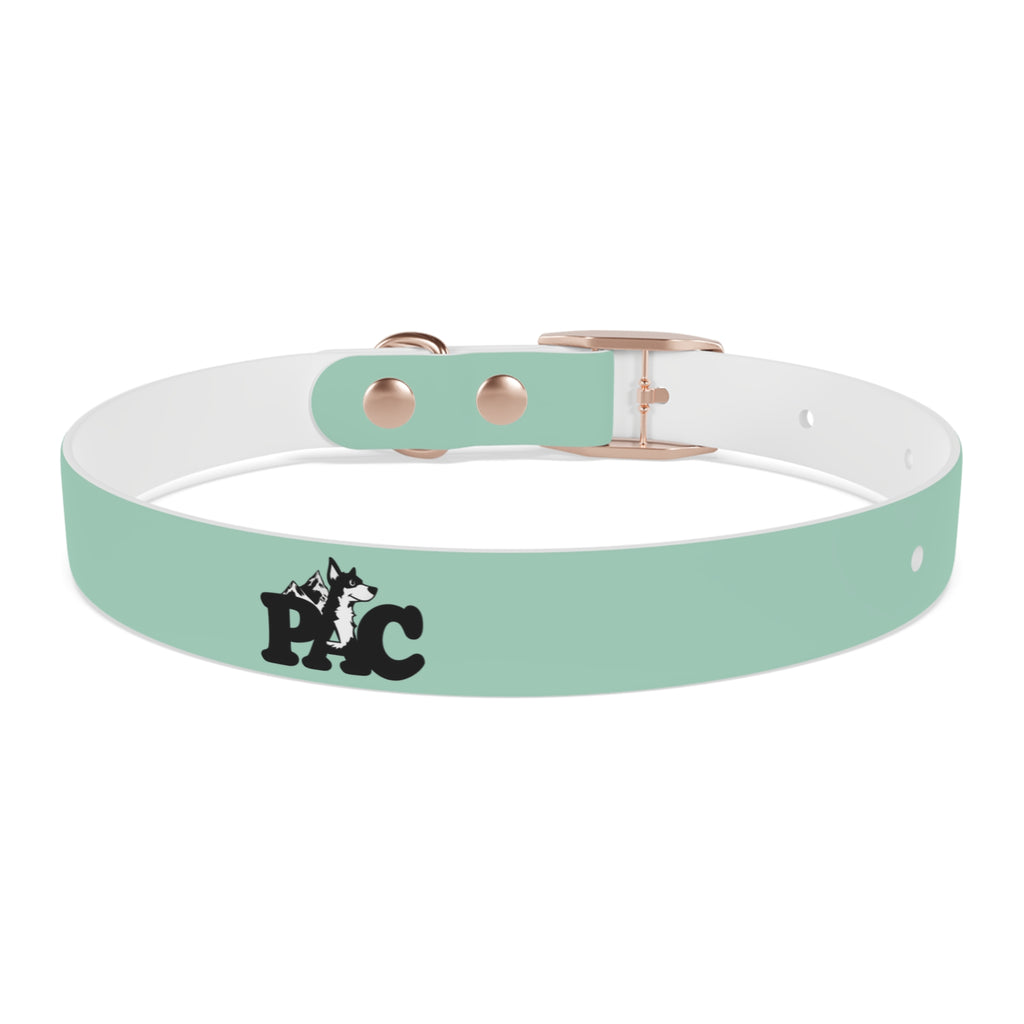 Waterproof Dog Collar | Mint