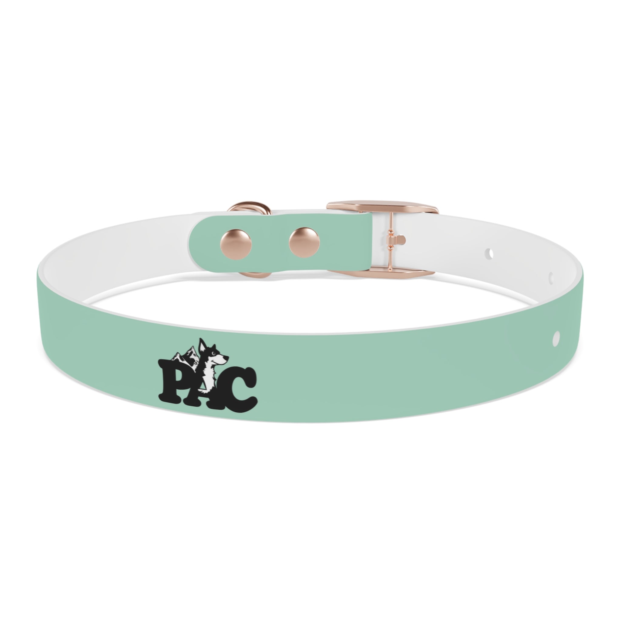 Waterproof Dog Collar | Mint