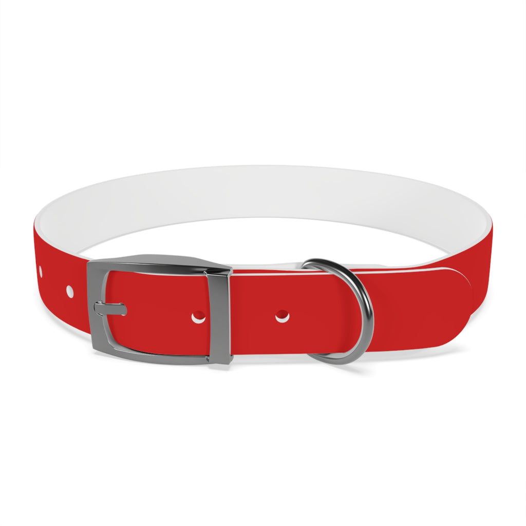 Waterproof Dog Collar | Red