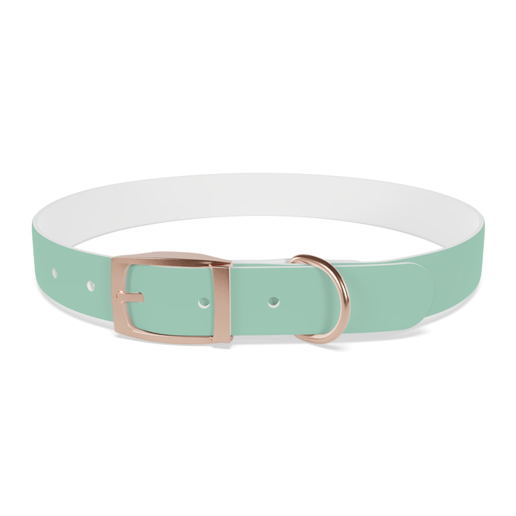 Waterproof Dog Collar | Mint