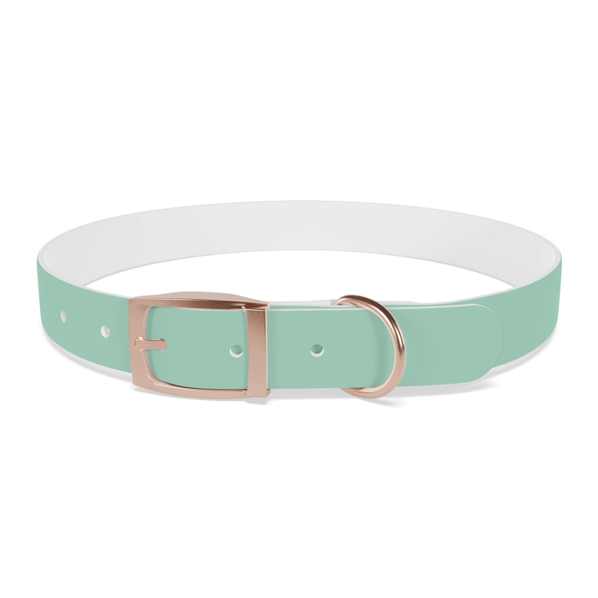 Waterproof Dog Collar | Mint