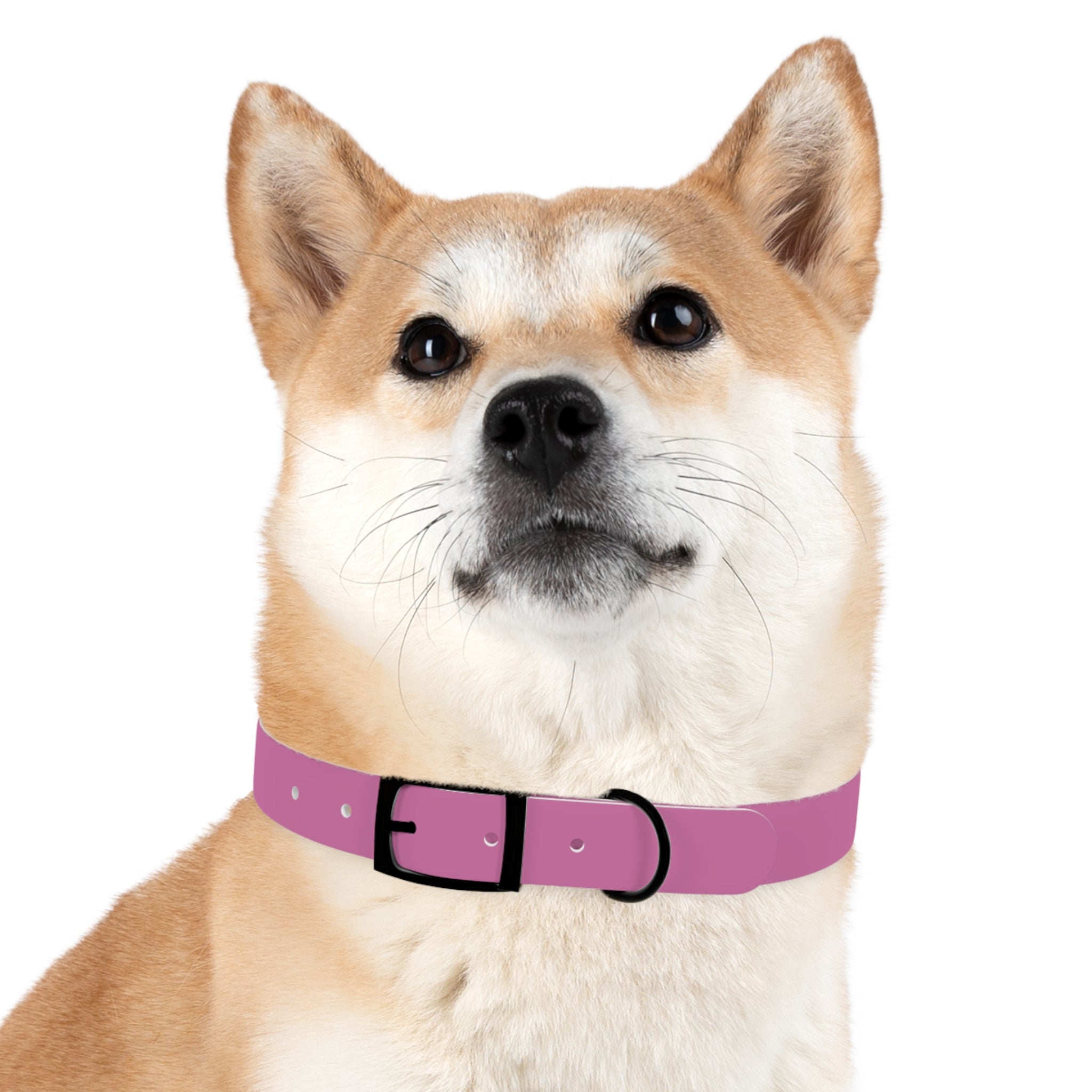 Waterproof Dog Collar | Pink